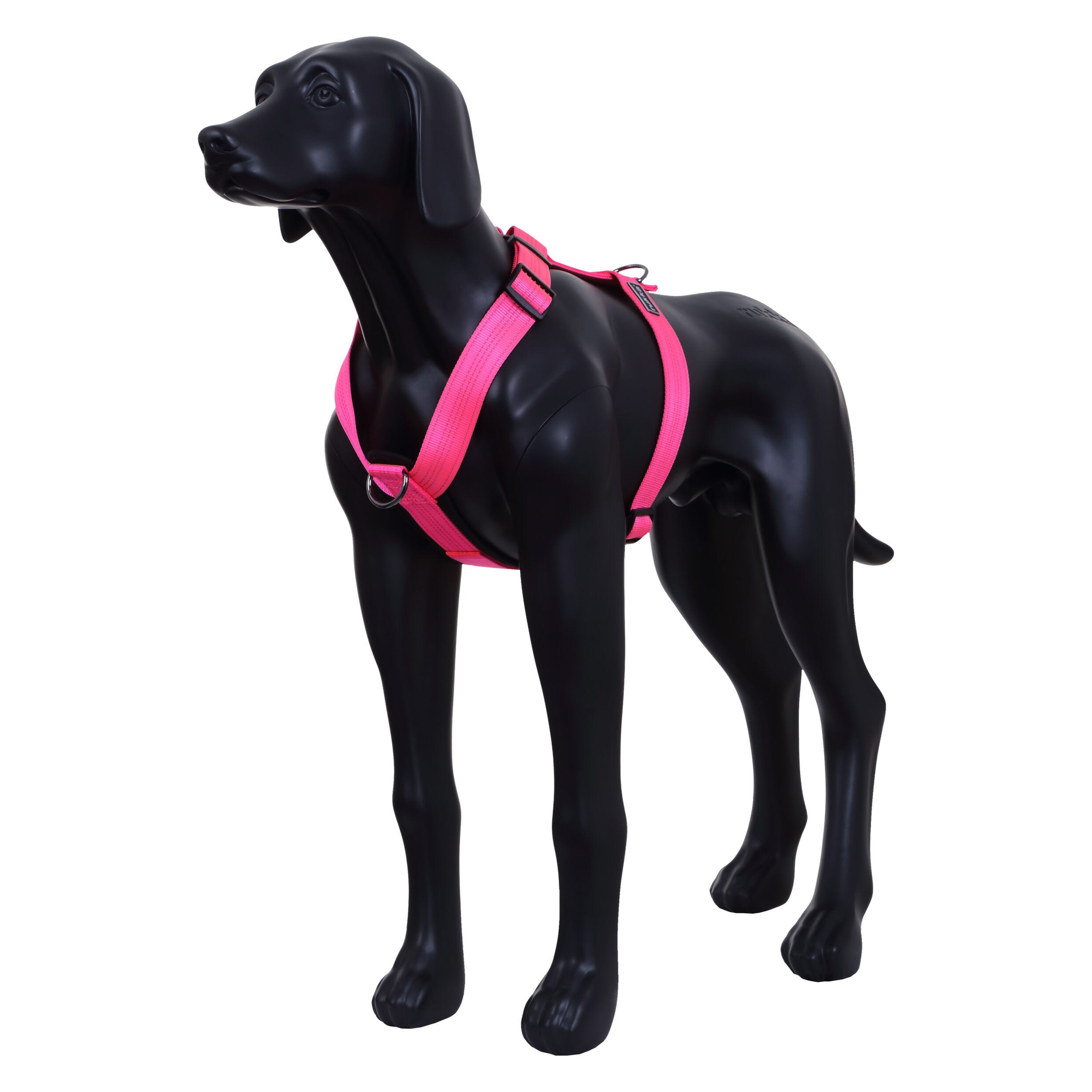 Rukka Pets Form neon harness