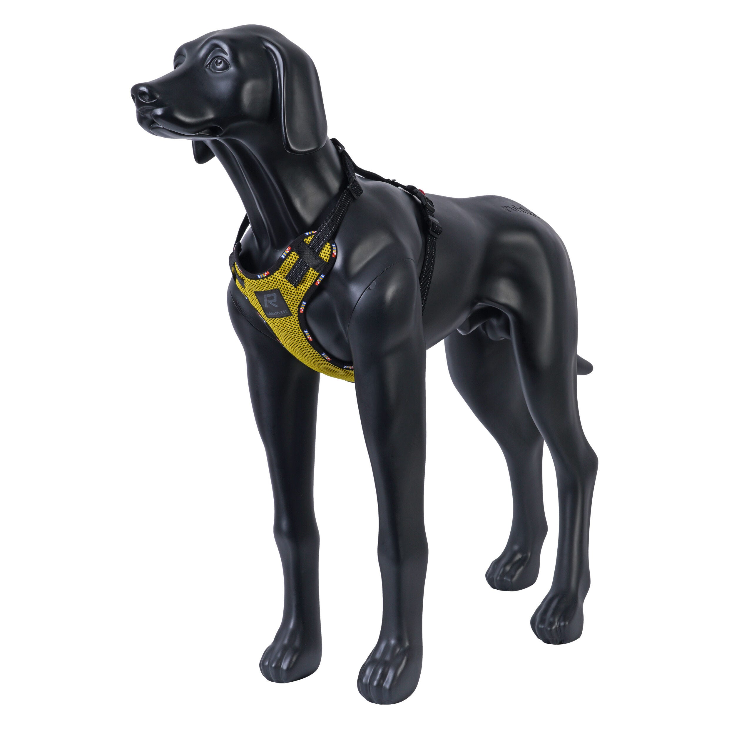 Rukka Pets Bliss x harness