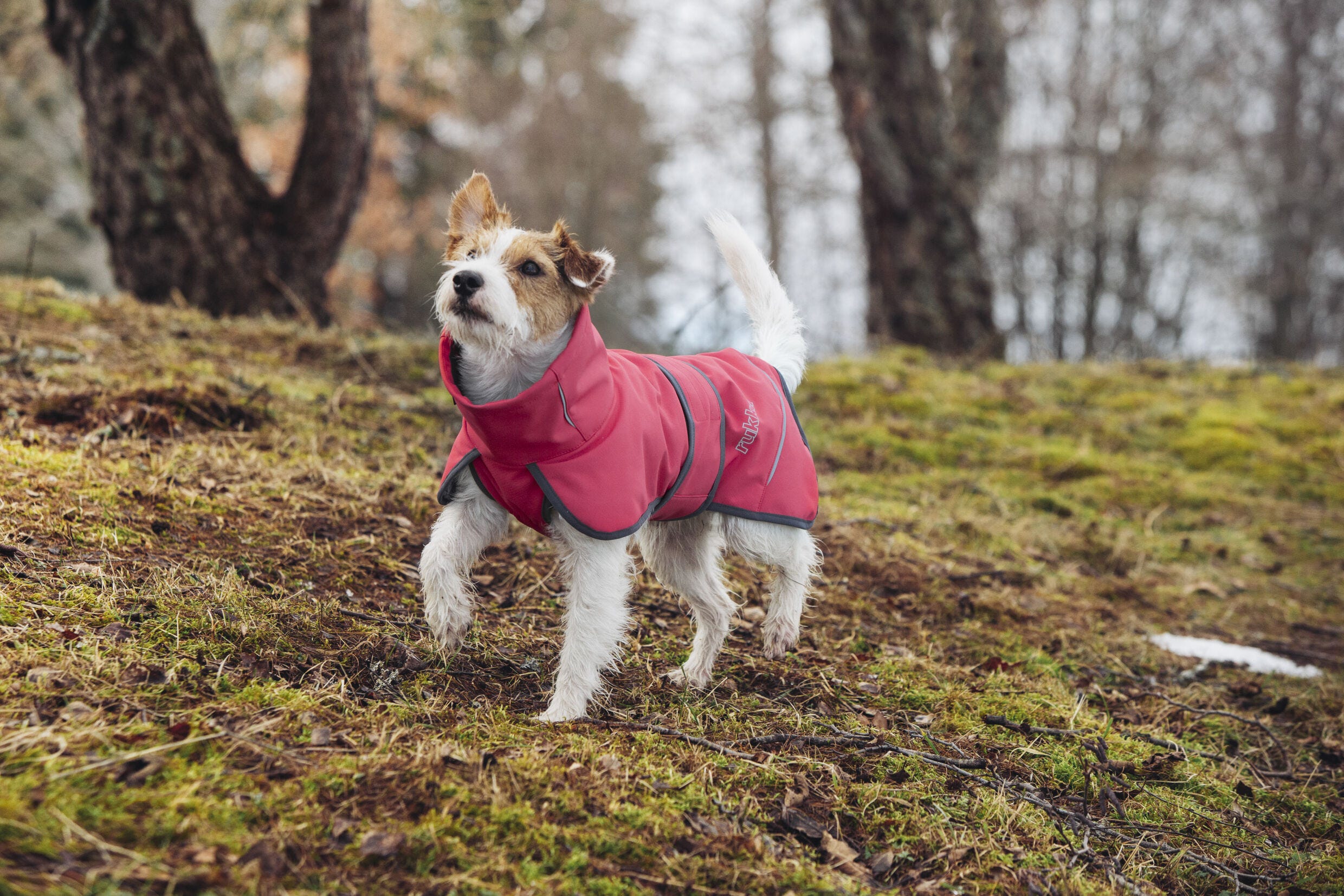 Rukka Pets Windy thermal jacket