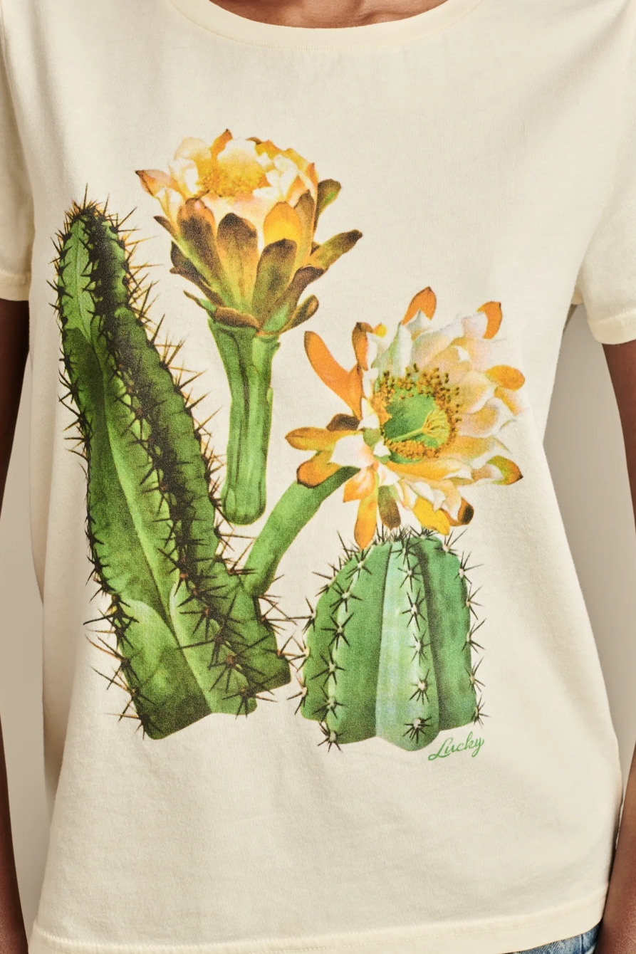 WATERCOLOR CACTUS CLASSIC CREW - Lucky Brand Outlet