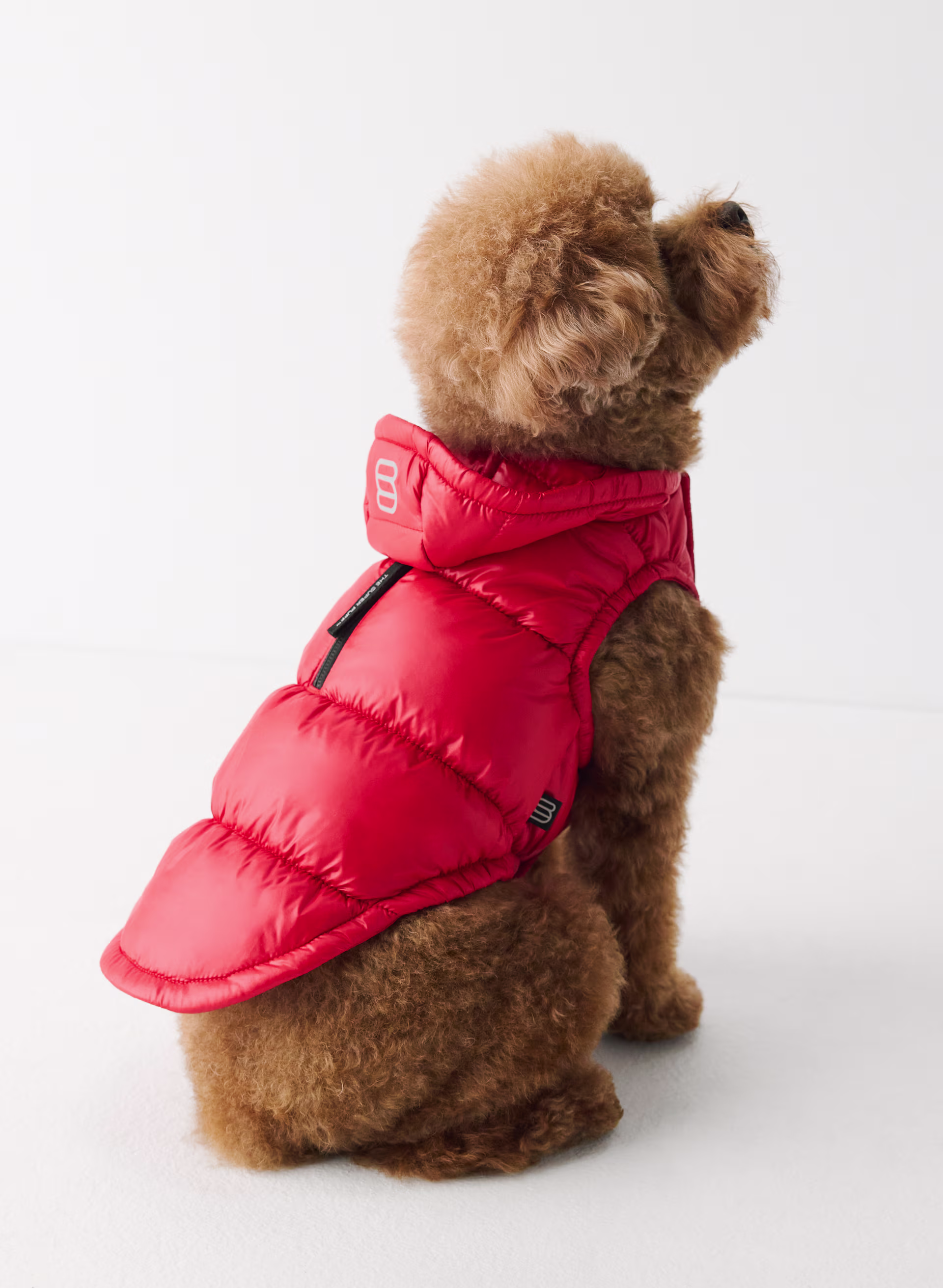 The Super Ruff Puff™ - Hi-Gloss