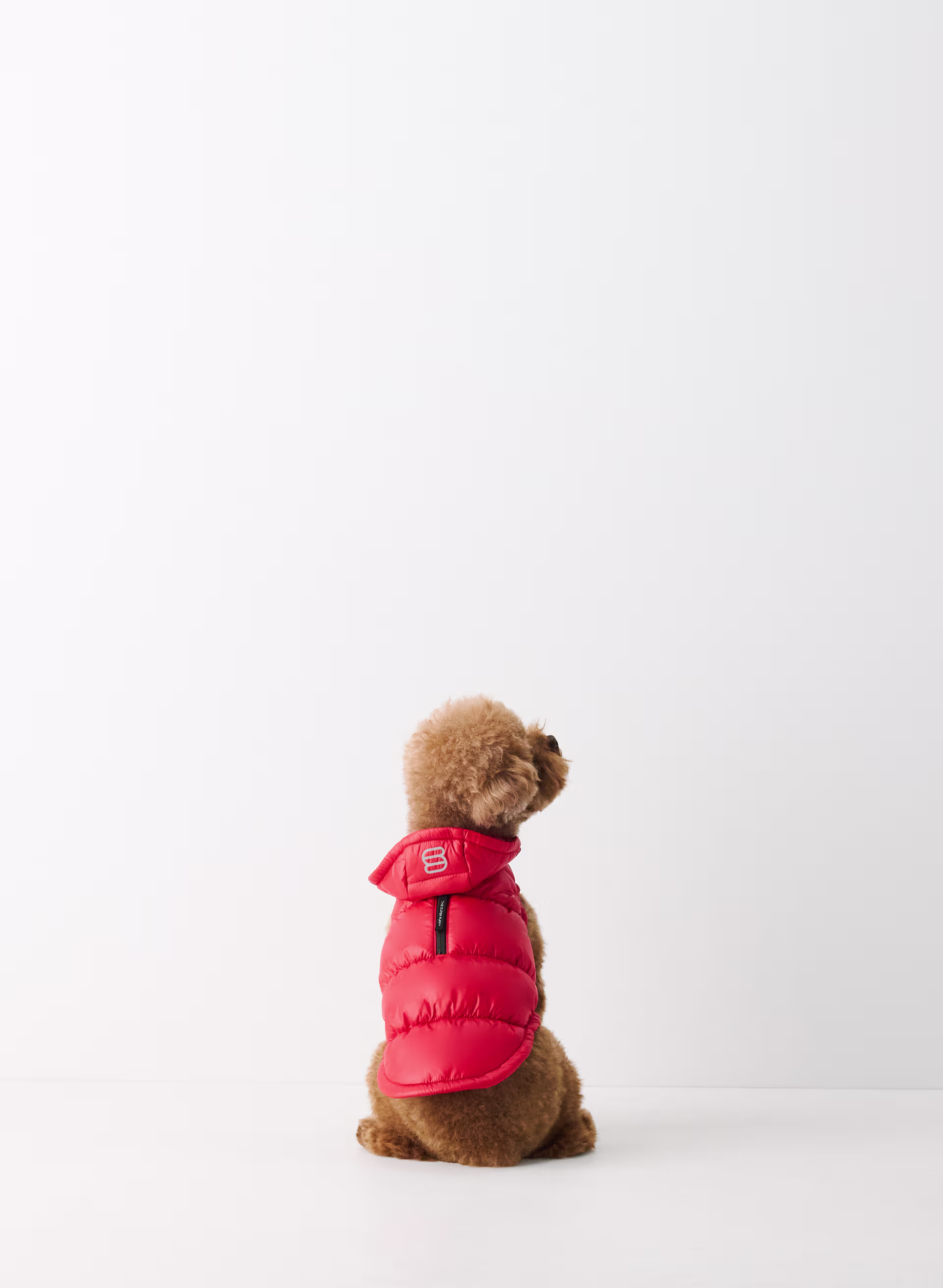 The Super Ruff Puff™ - Hi-Gloss