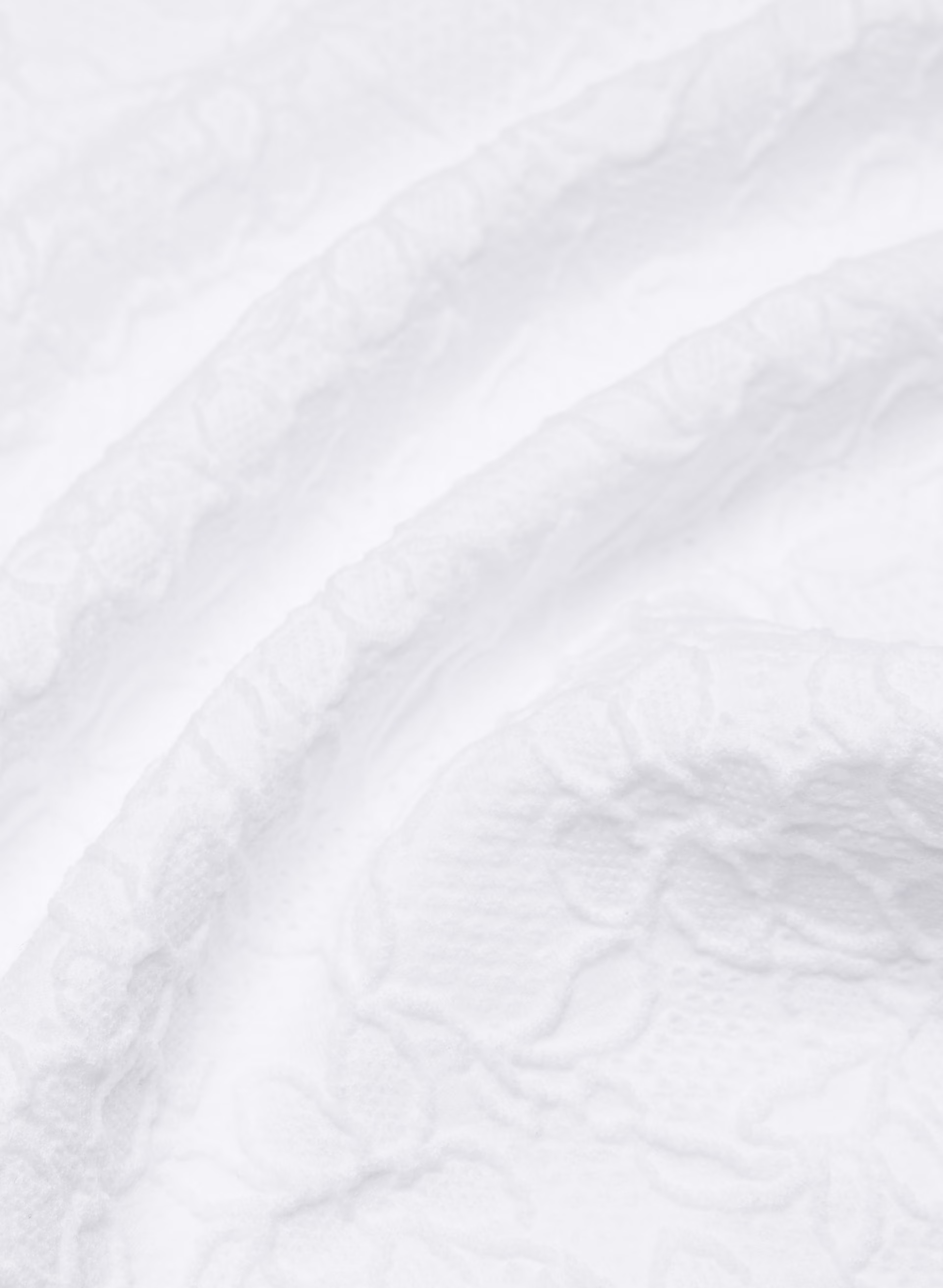 Daisy Seamless Crew Longsleeve