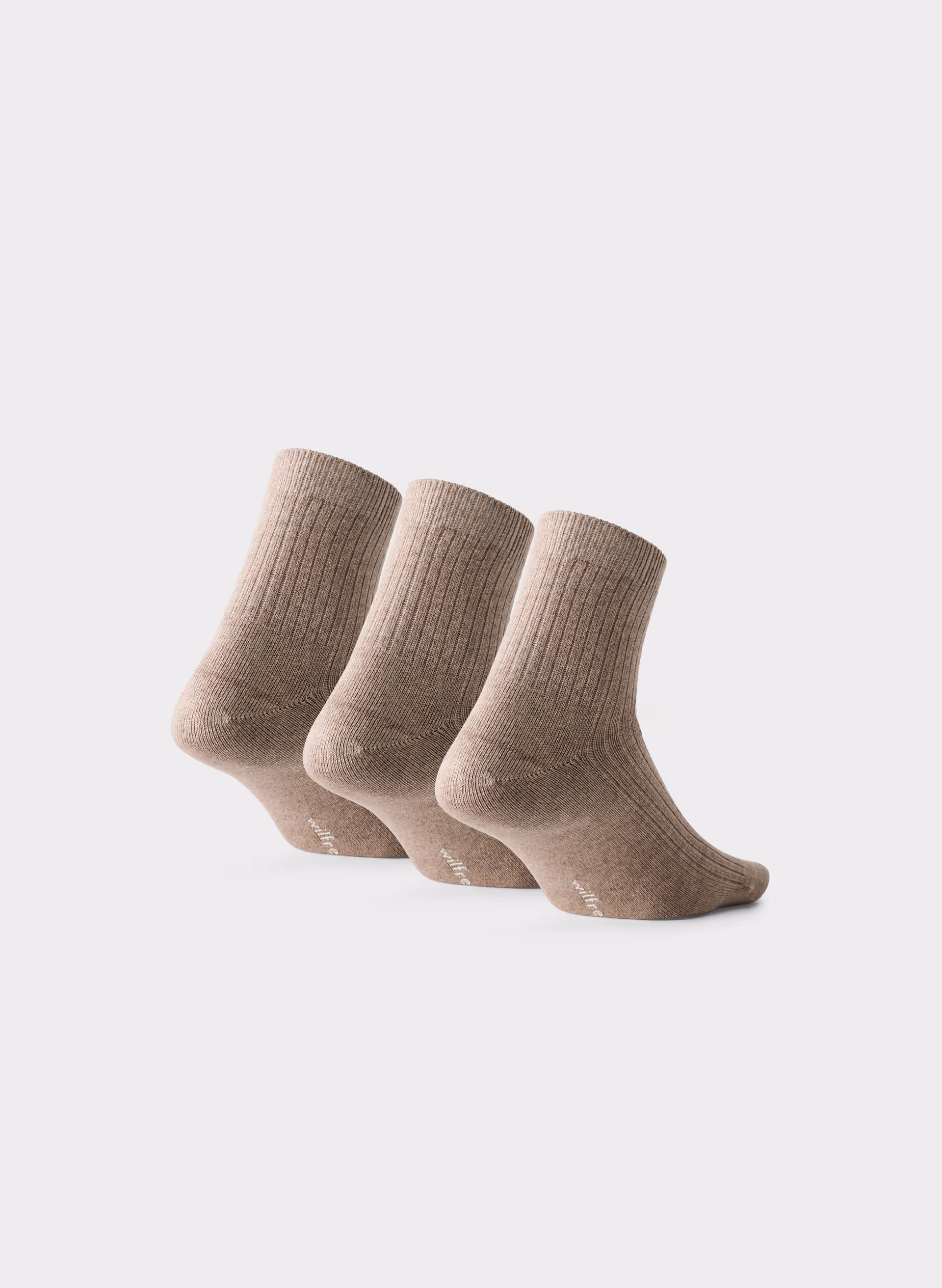 Daily Ankle Sock 3-pack