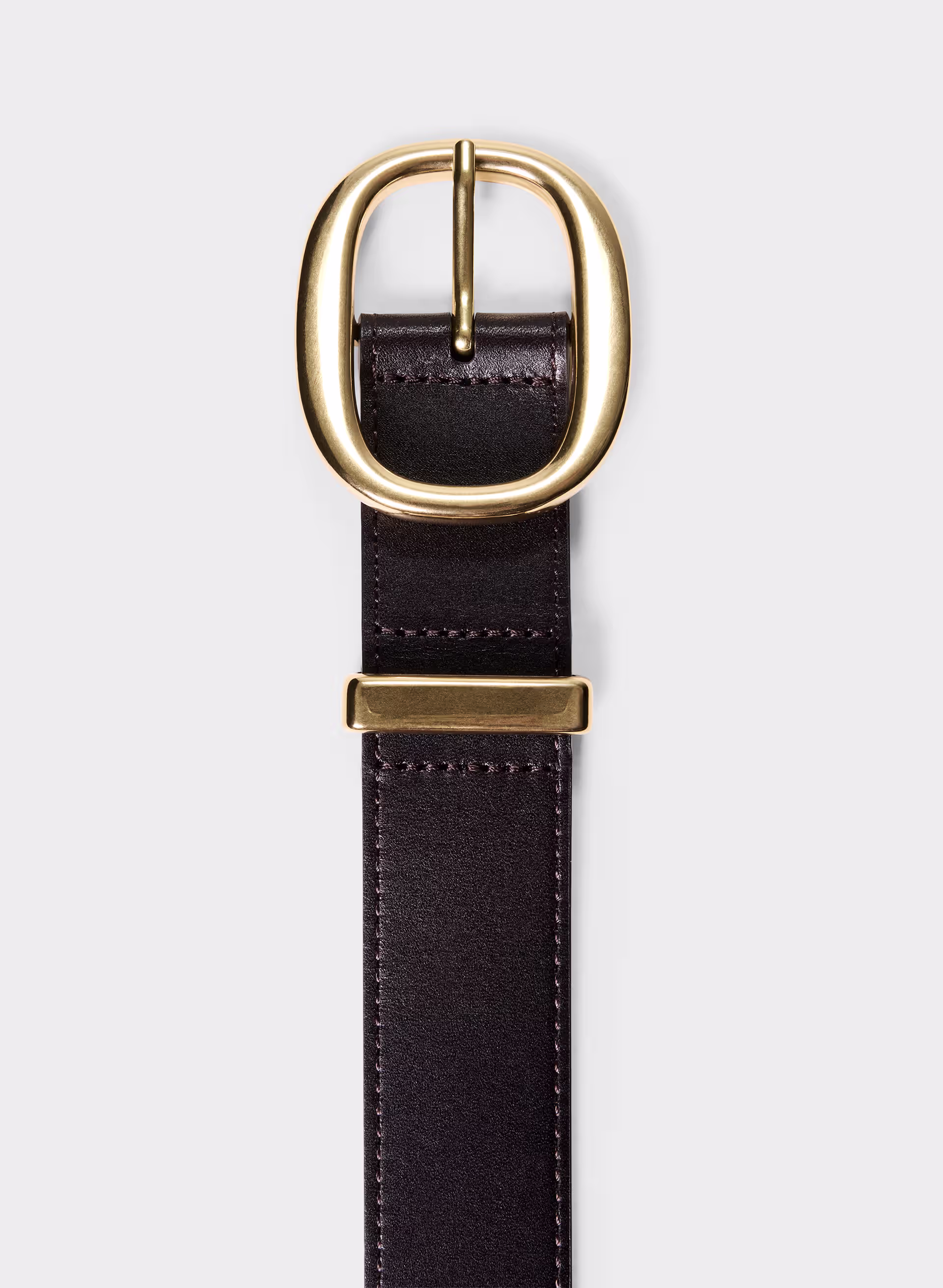 Lifetime Solid Brass Leather Wide Belt