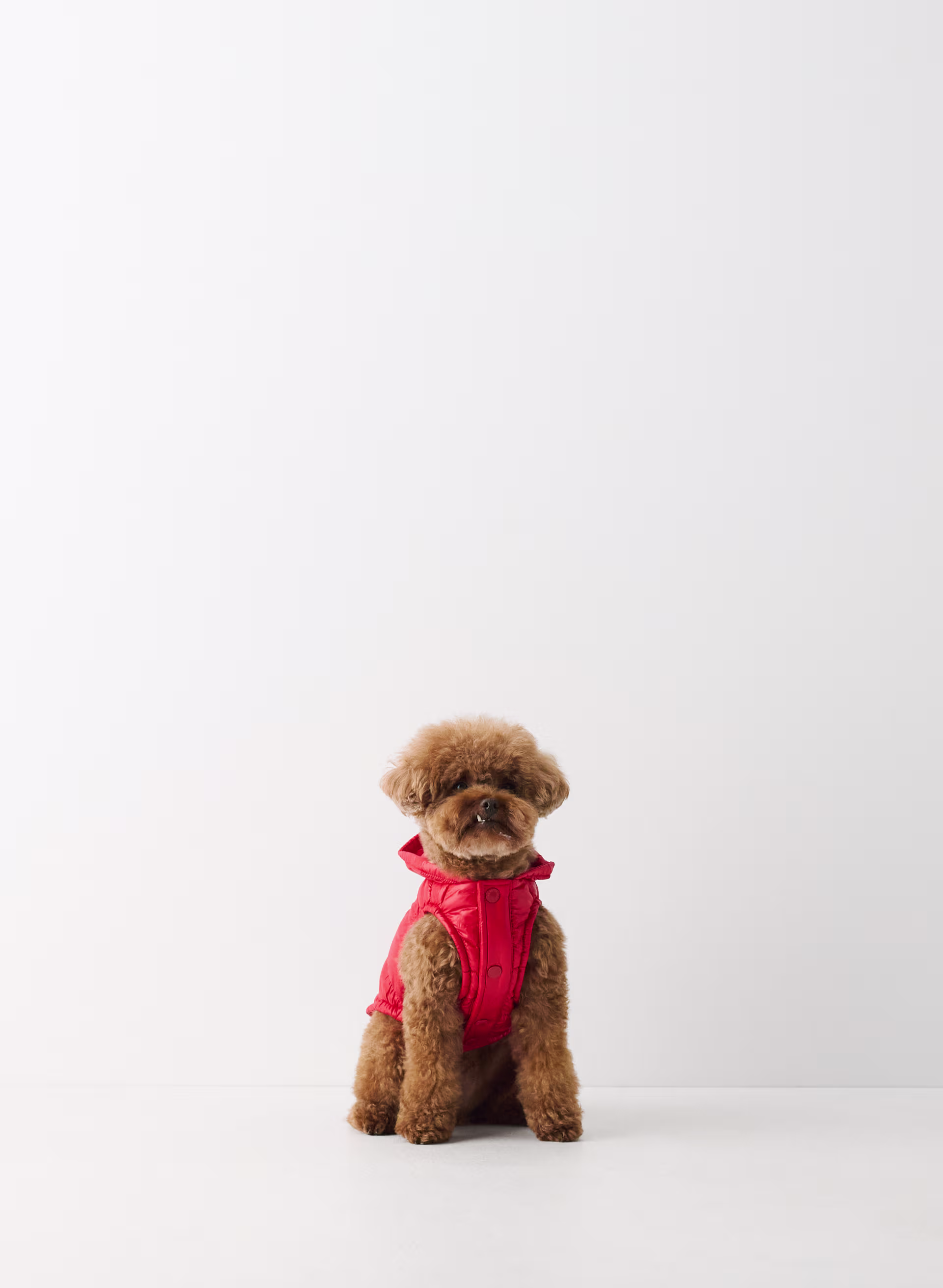 The Super Ruff Puff™ - Hi-Gloss