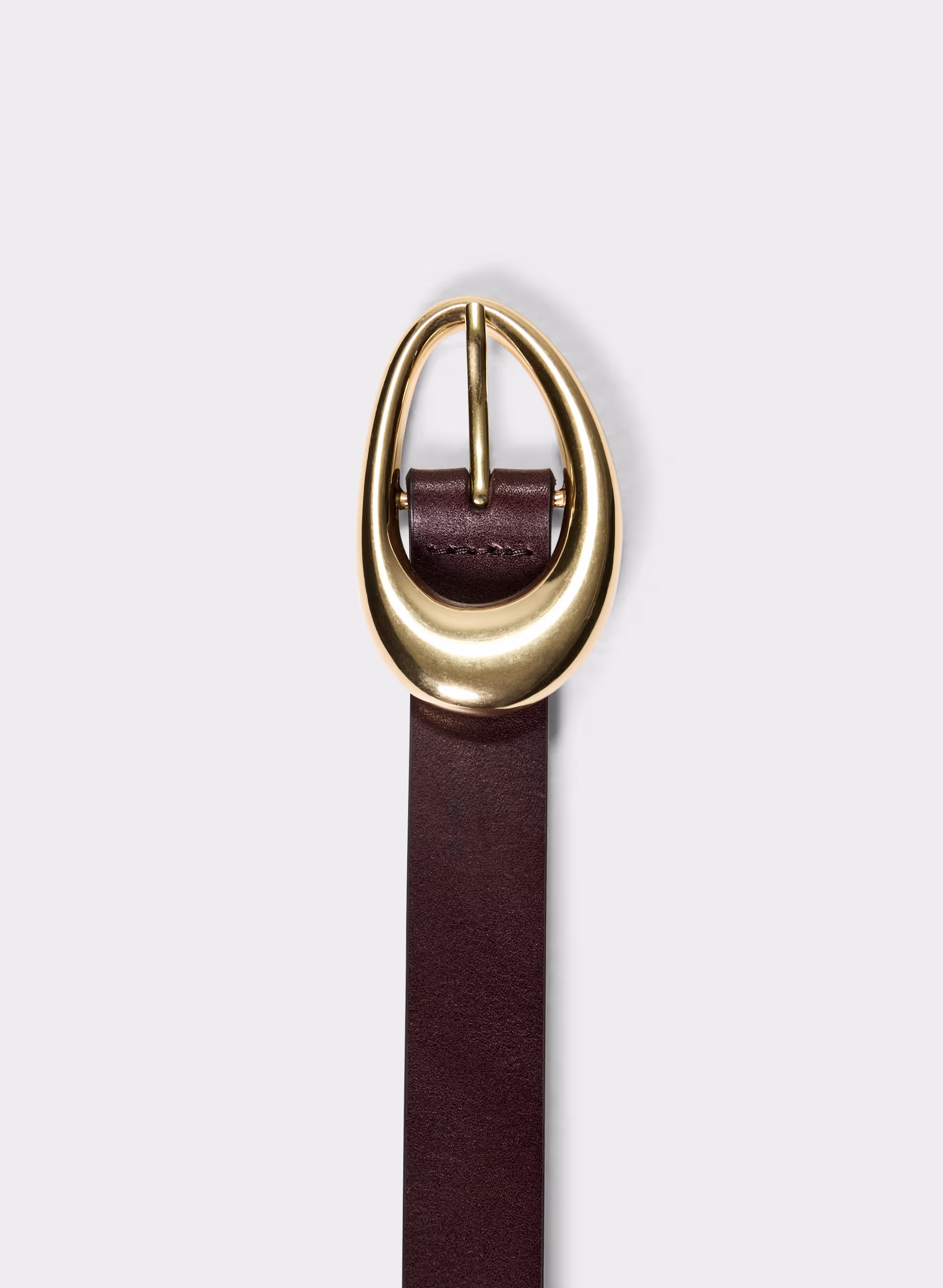 Perennial Solid Brass Leather Belt