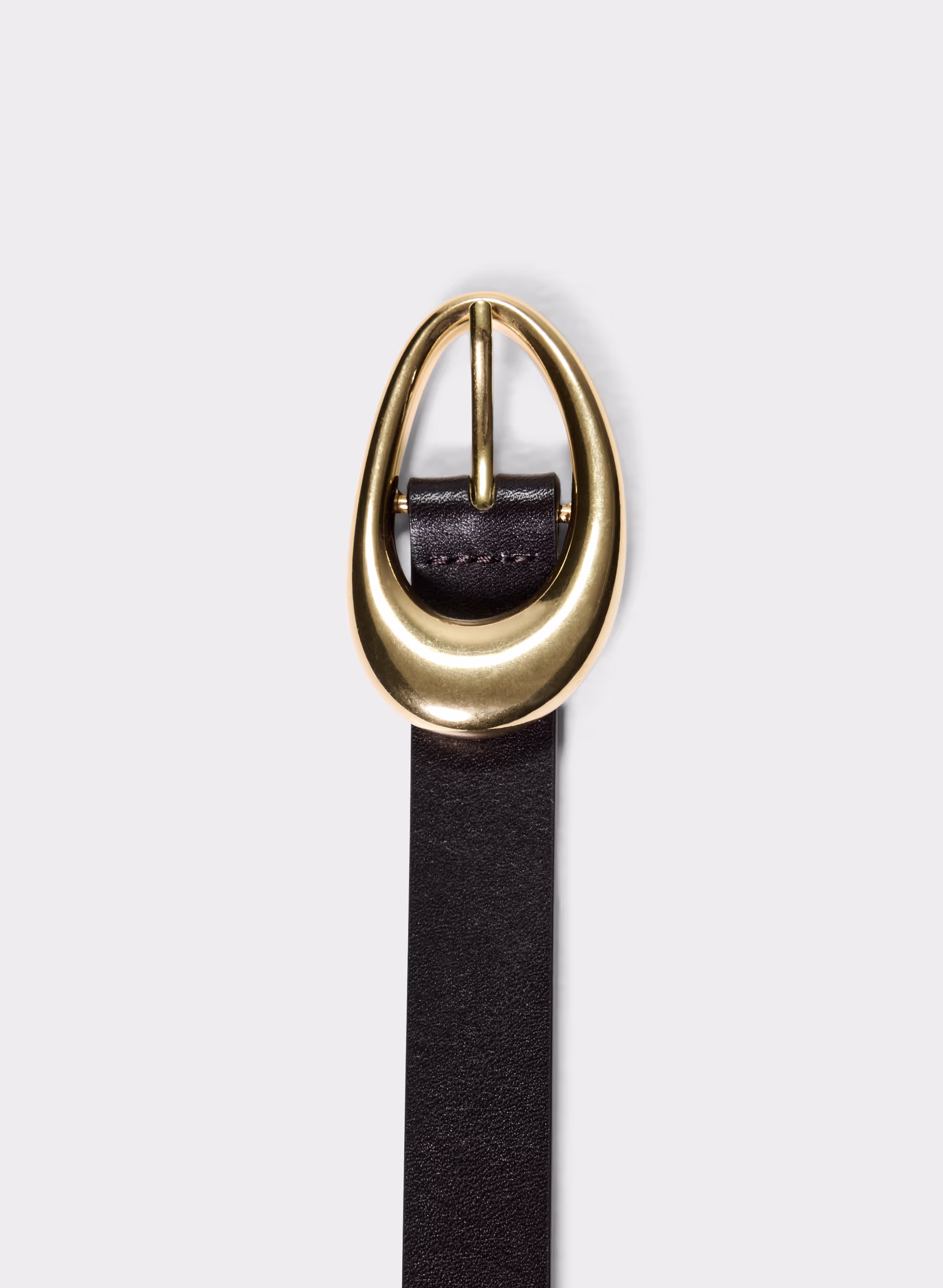 Perennial Solid Brass Leather Belt