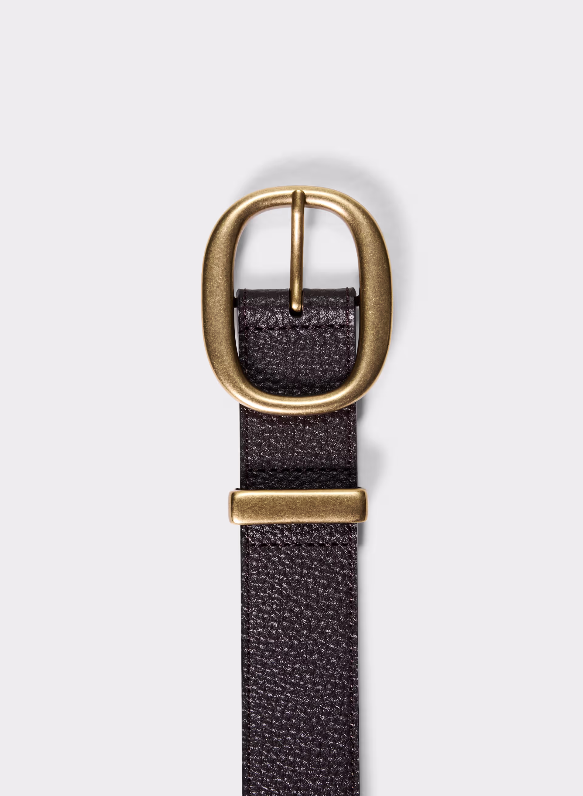 Lifetime Solid Brass Leather Wide Belt