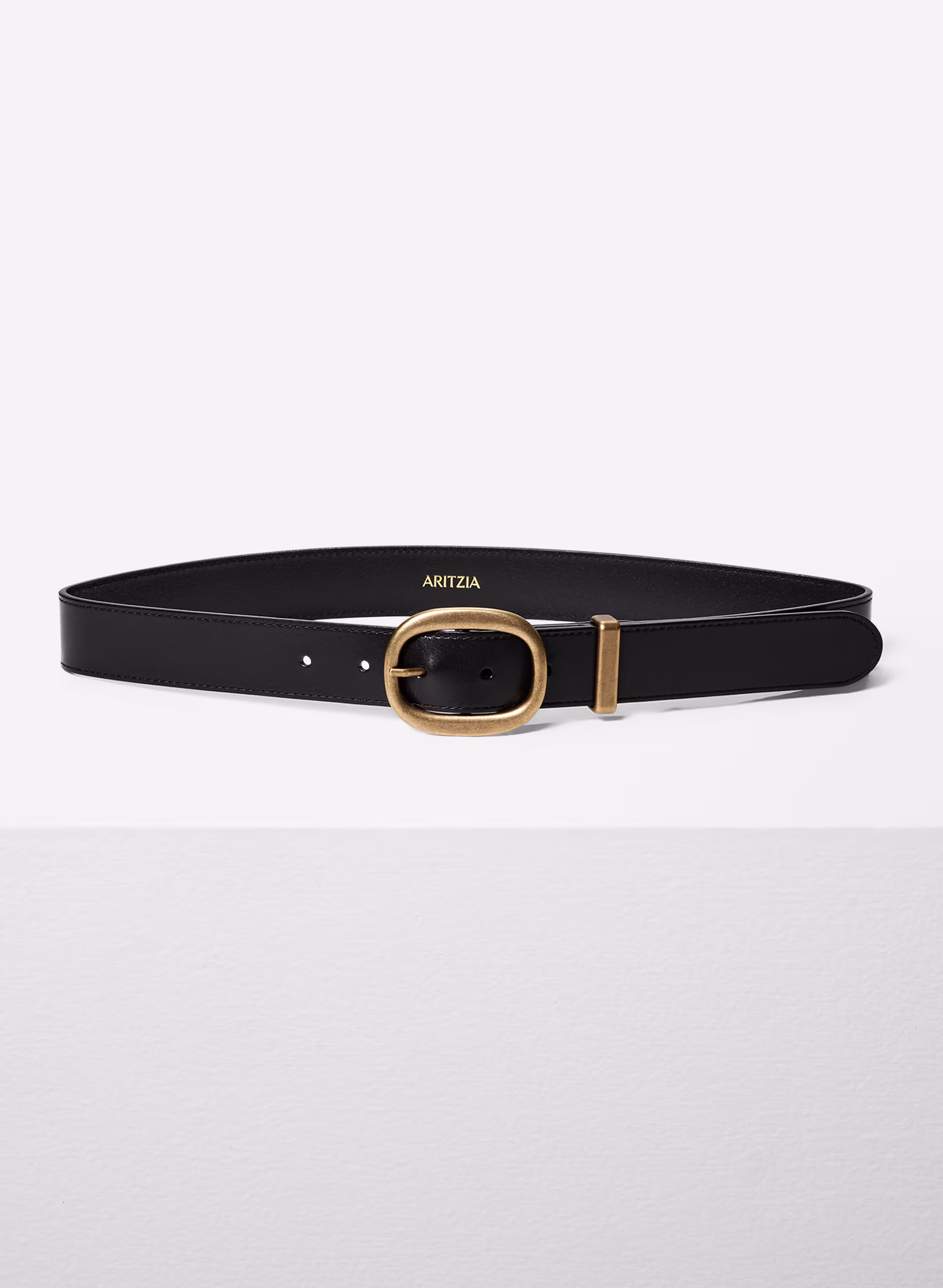 Lifetime Solid Brass Leather Wide Belt