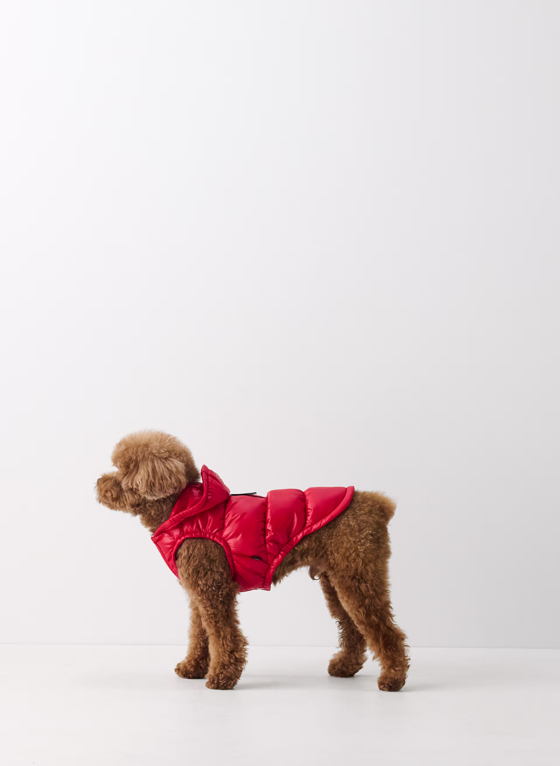 The Super Ruff Puff™ - Hi-Gloss