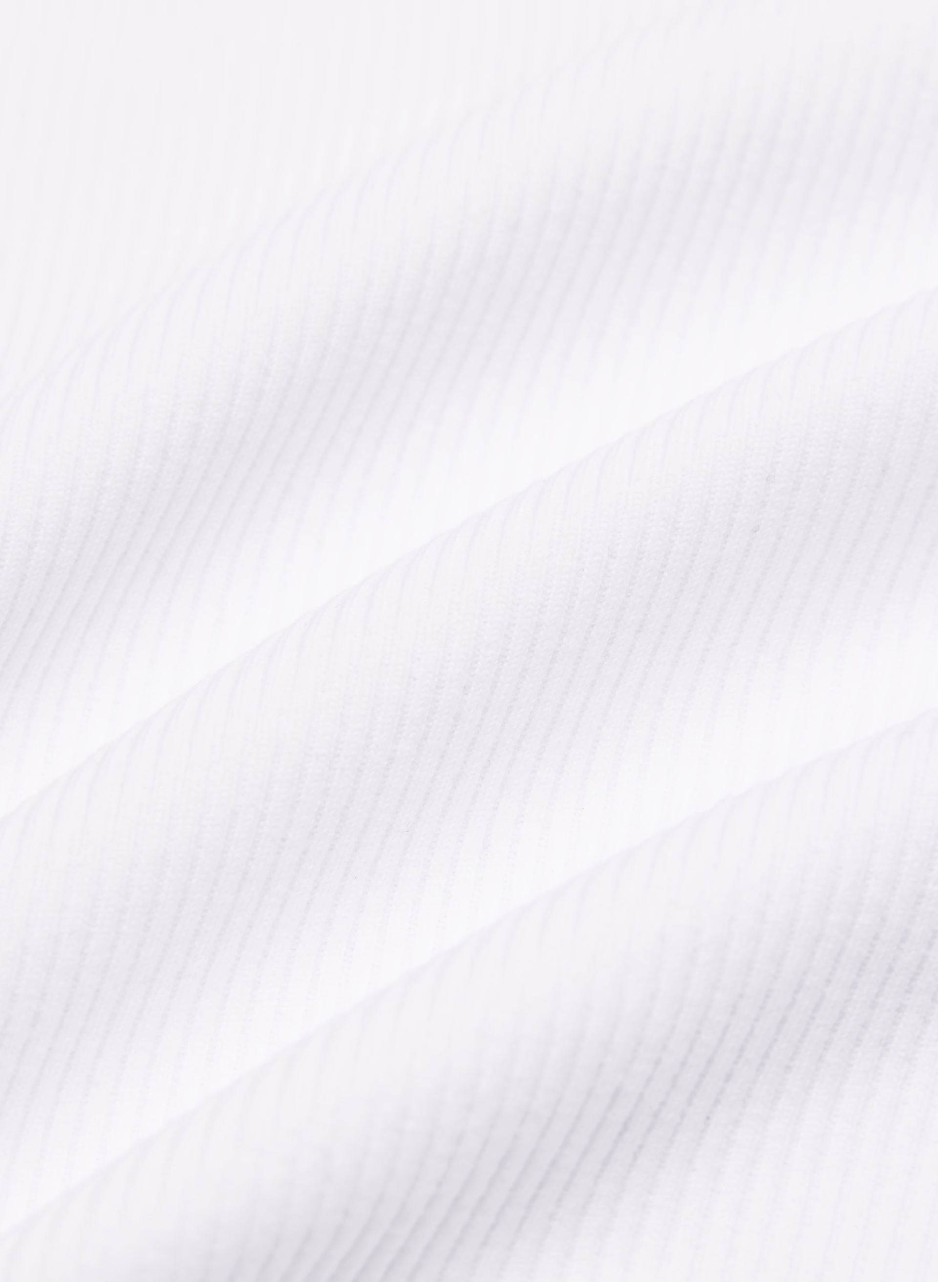 LIFE Rib Lateral Tank