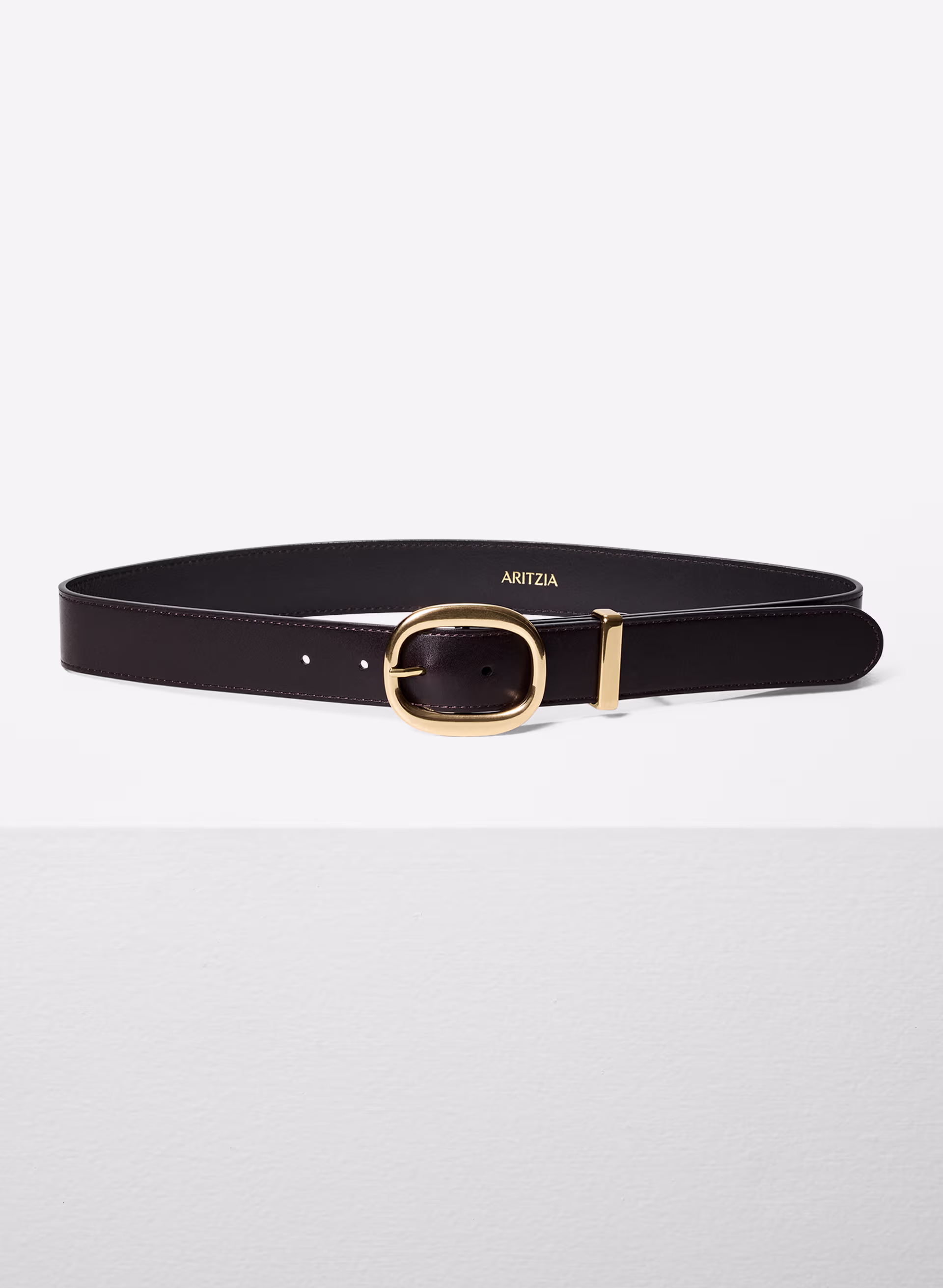 Lifetime Solid Brass Leather Wide Belt