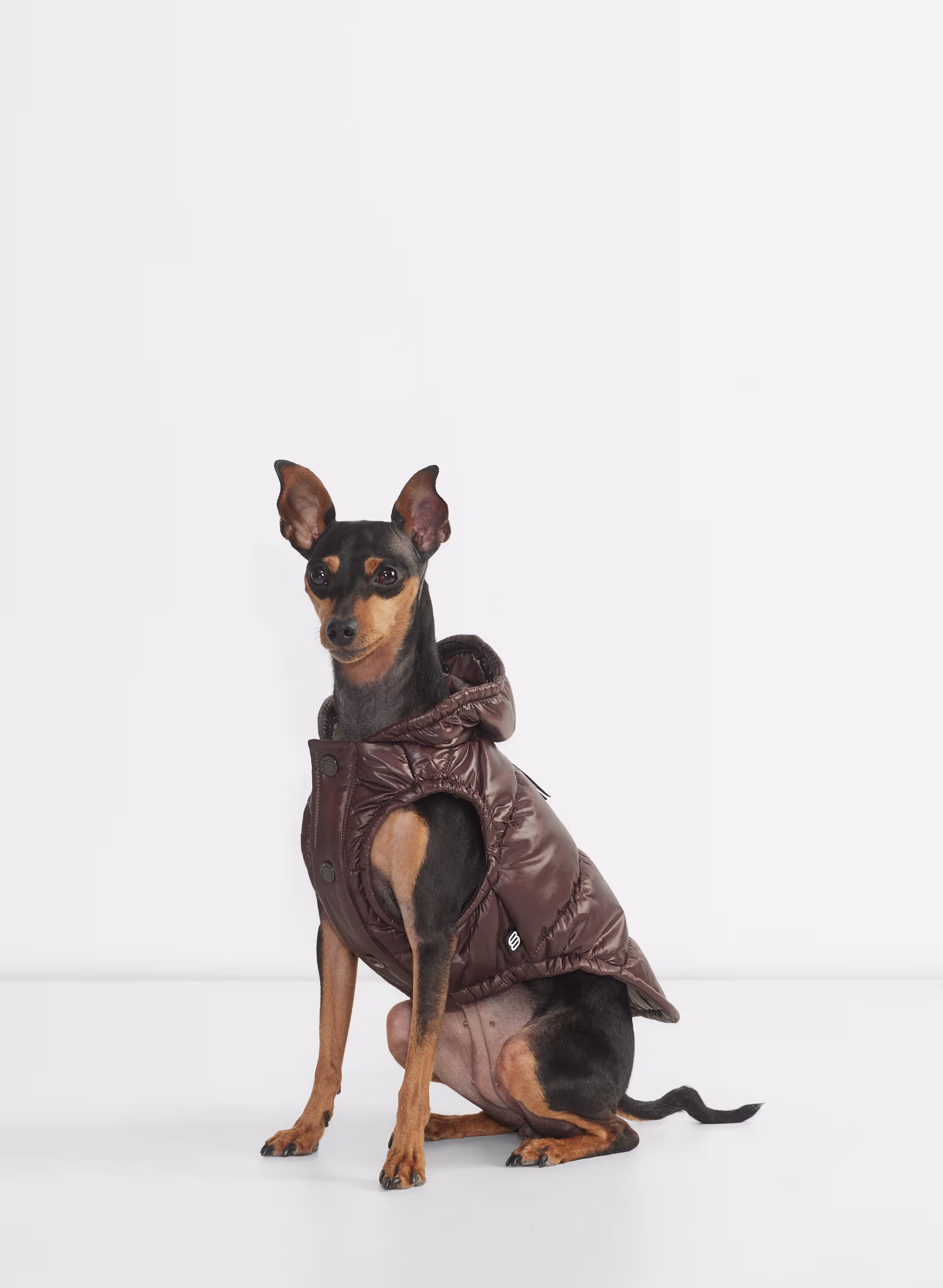 The Super Ruff Puff™ - Hi-Gloss