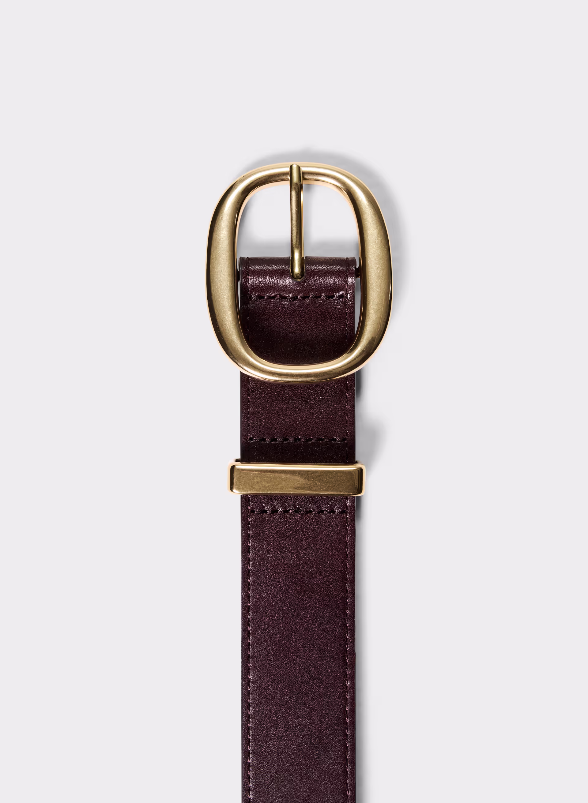 Lifetime Solid Brass Leather Wide Belt