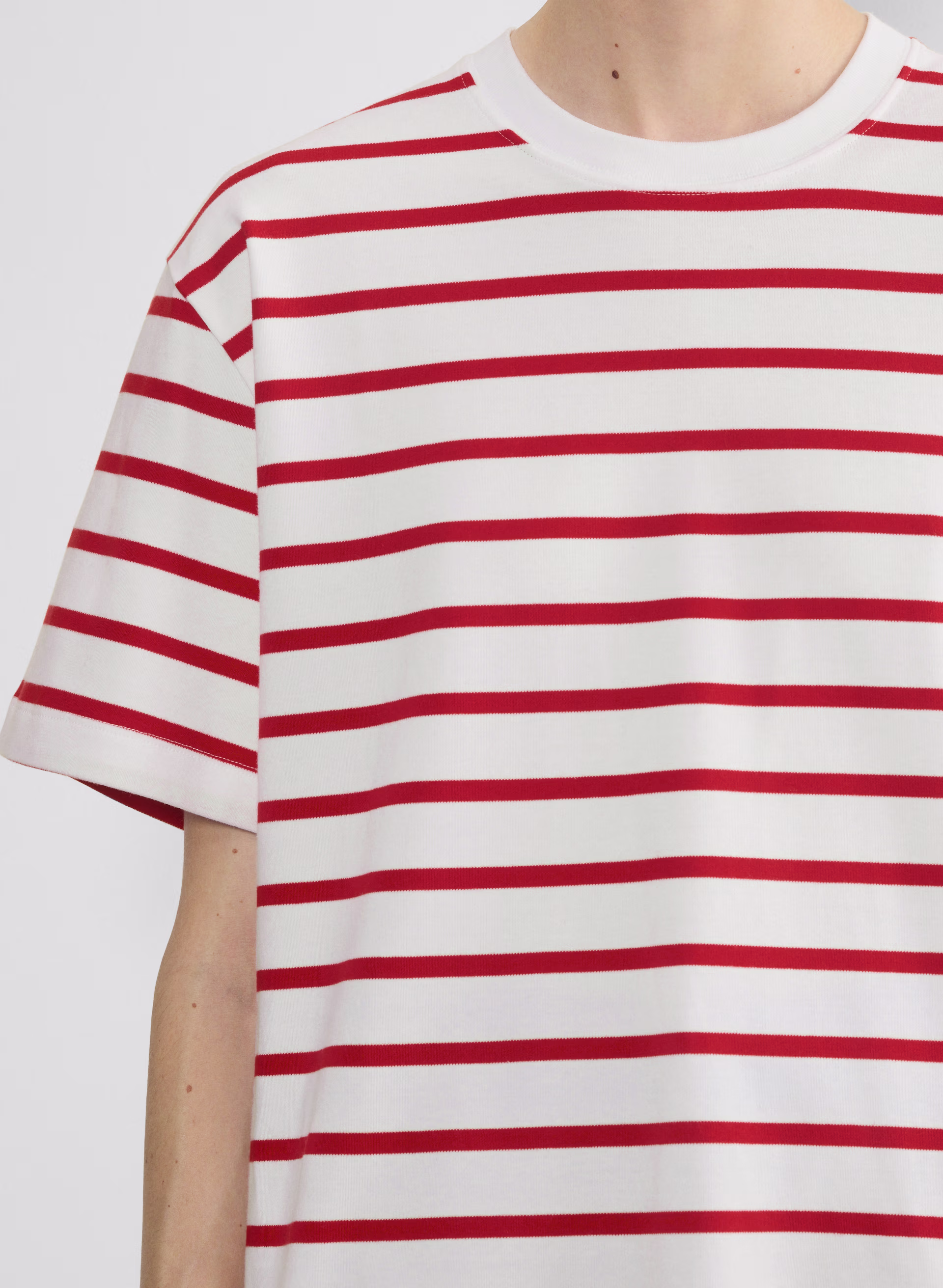 InterLock Cotton Pegasus T-Shirt