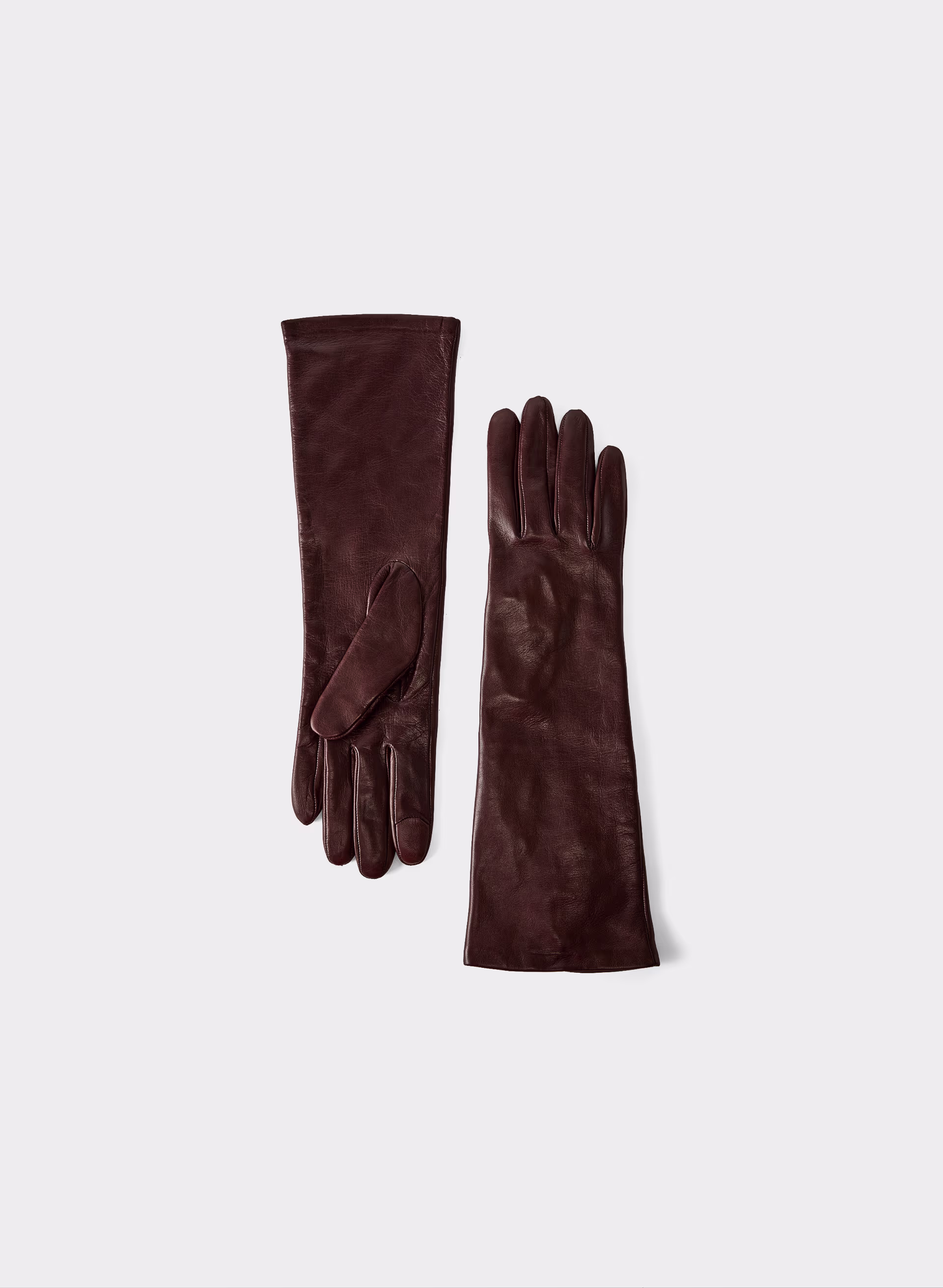 Leather Long Gloves