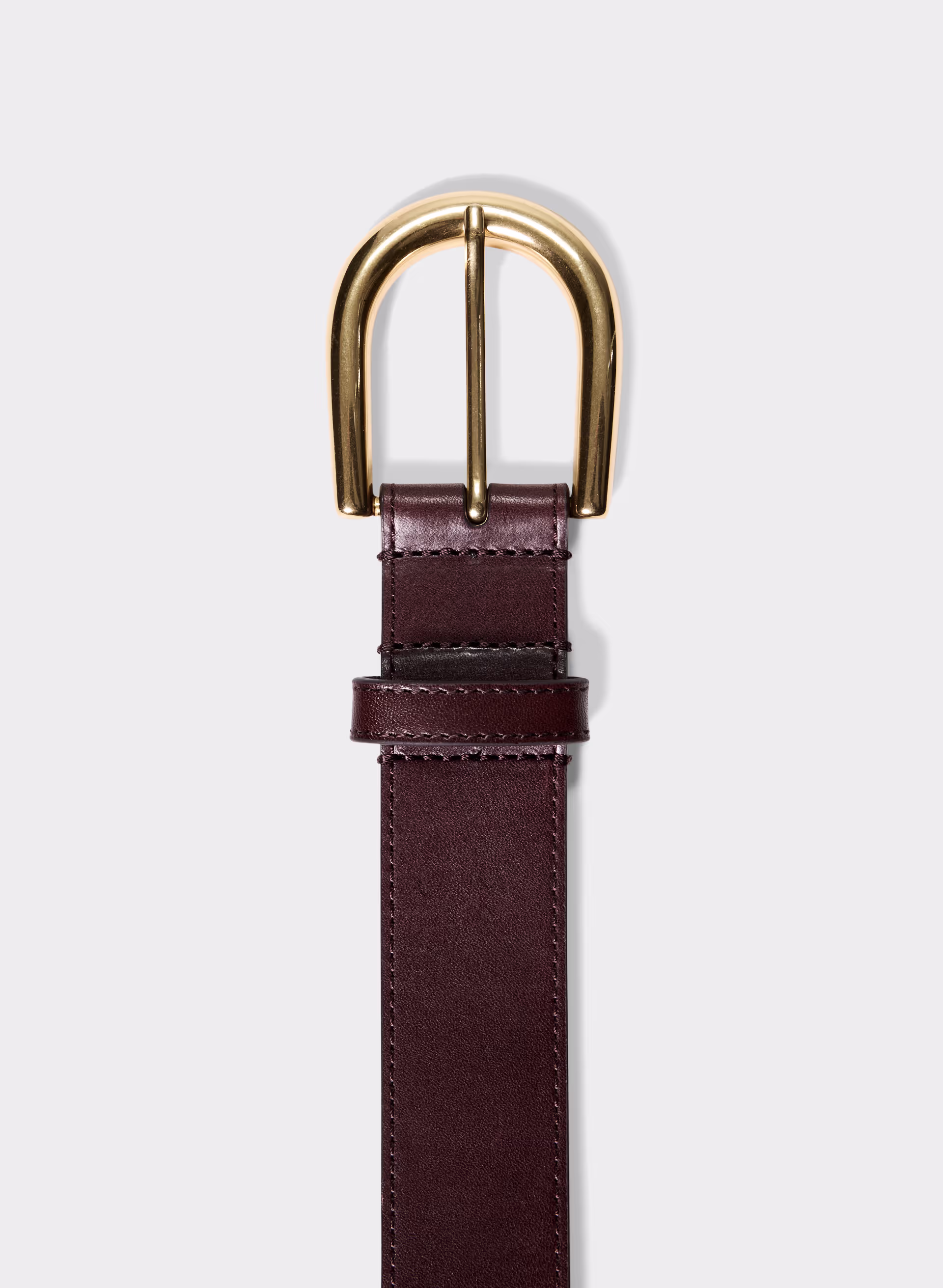 Accent Solid Brass Leather Wide Belt
