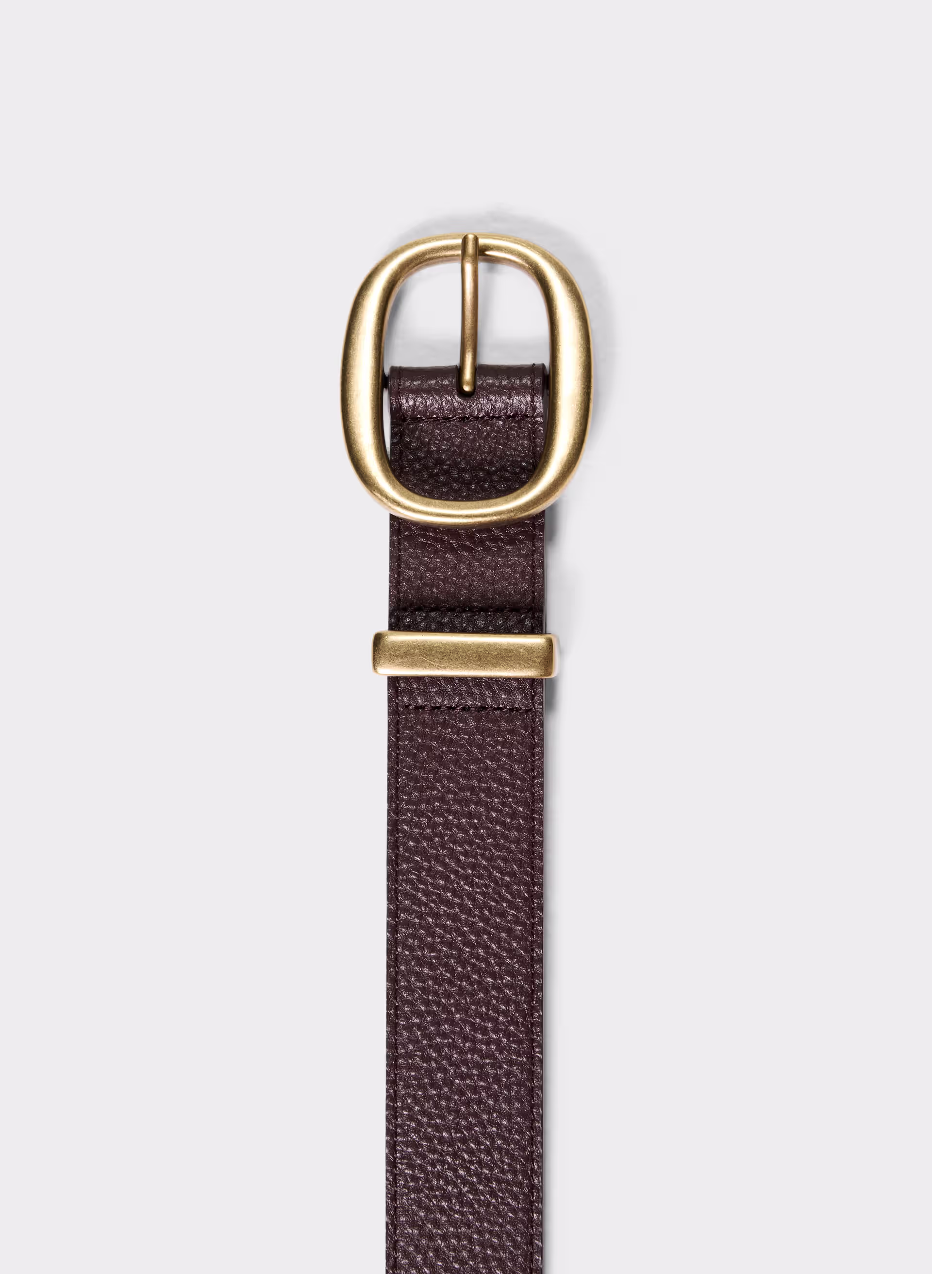 Lifetime Solid Brass Leather Wide Belt