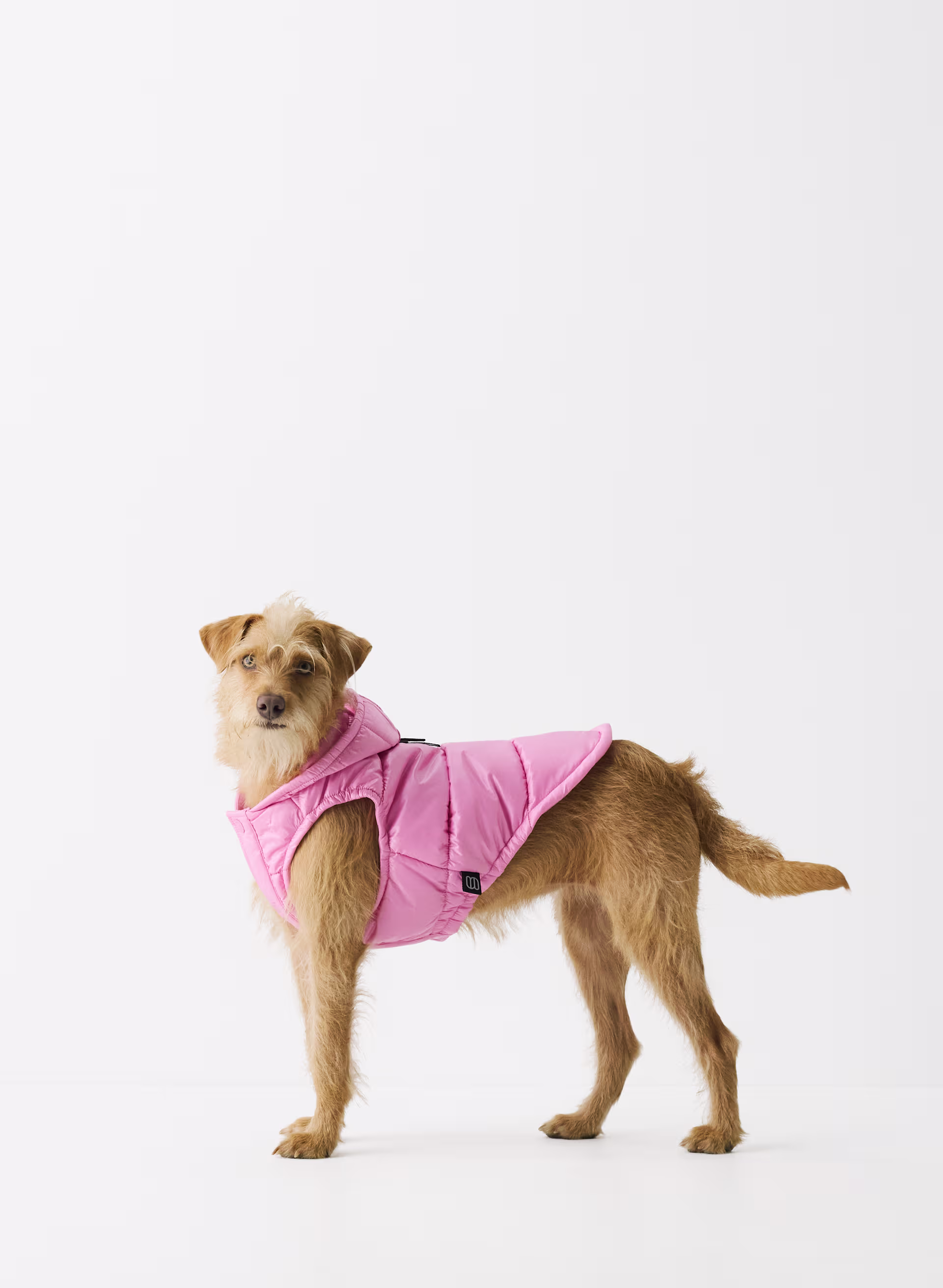 The Super Ruff Puff™ - Hi-Gloss