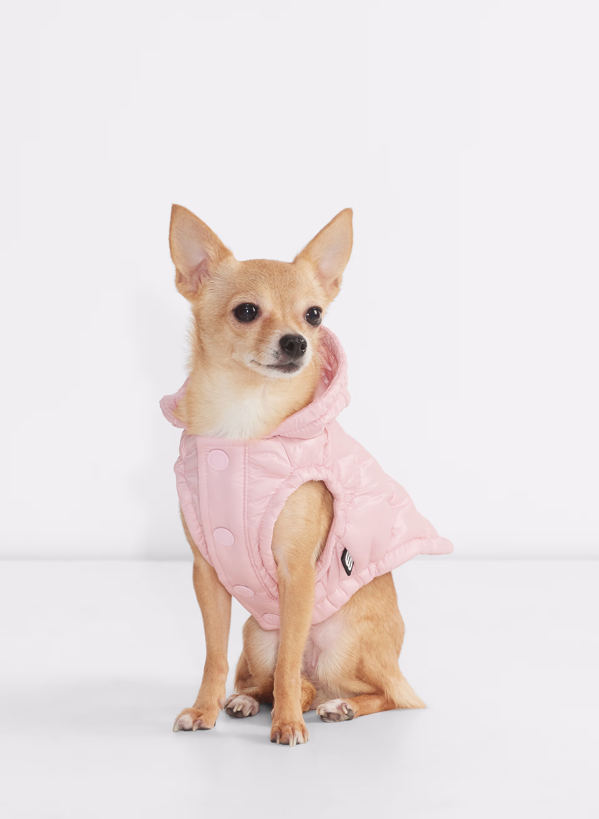 The Super Ruff Puff™ - Hi-Gloss