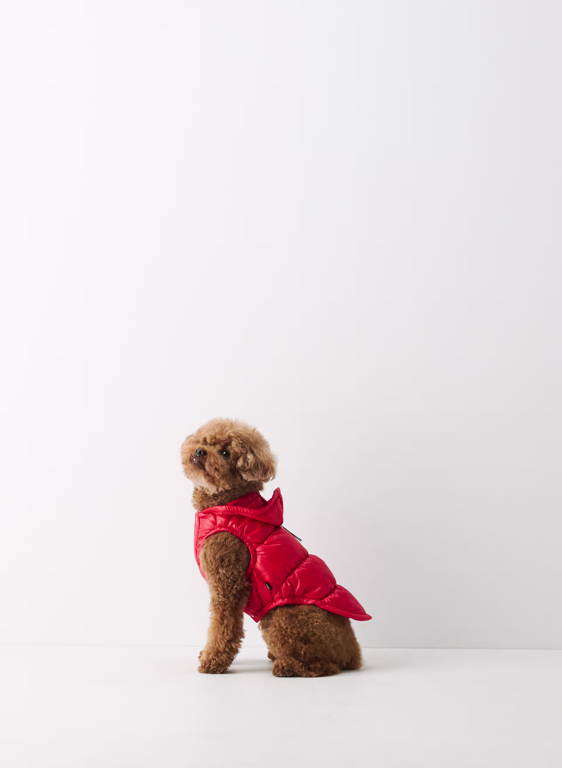 The Super Ruff Puff™ - Hi-Gloss