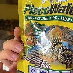 Tetra Pro PlecoWafers - Pet Supplies online store
