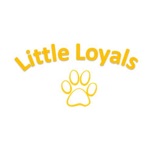 Little Loyals Premium Olive Wood Dog Chew - Pet Supplies online store