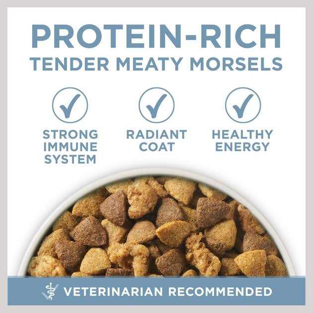 Purina ONE Joint Health Dry Dog Food - Pet Supplies online store