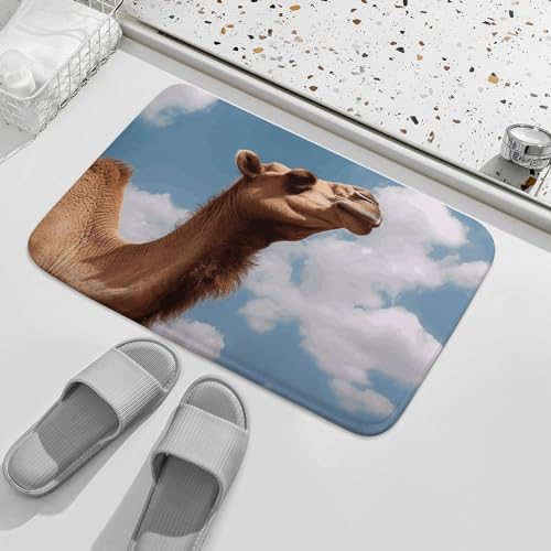 Camel Looking Up at The Sky Doormat Washable Indoor Door Mat Durable Non-Slip Welcome Mat Front Door Mat for Entrance Farmhouse Funny Kitchen Rugs for Home Patio Greeting Porch Rugs 15.7