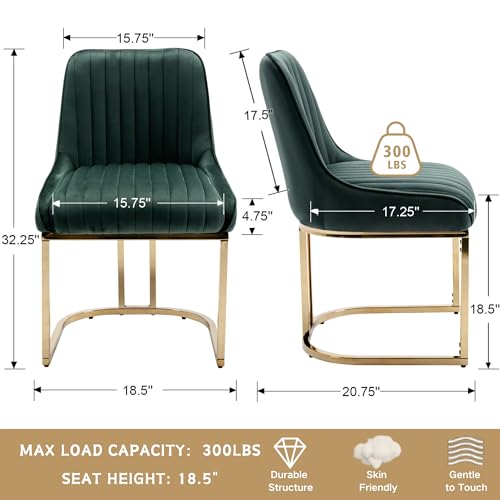 Shunzhi White Dining Chairs Set of 4 Upholstered Modern Kitchen Chairs Armless Velvet Accent Dining Room Chairs Side Chairs with Gold Legs/Back for Kitchen/Dining Room/Restaurants