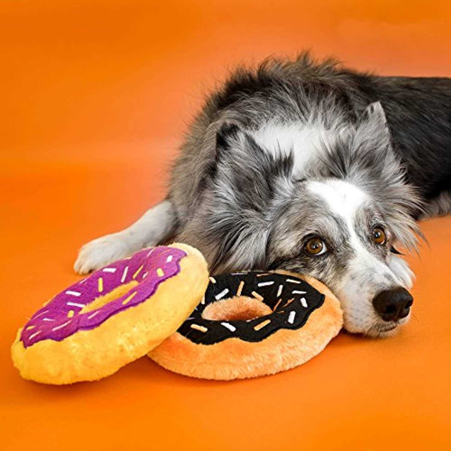 ZippyPaws Donutz Dog Toy - Pet Supplies online store
