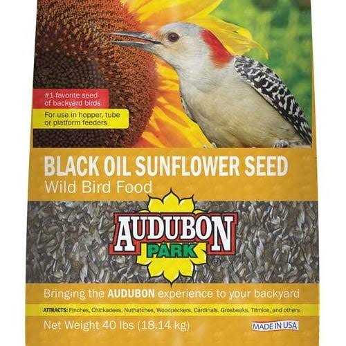 Audubon Park 11801 Black Oil Sunflower Seed Wild Bird Food - Pet Supplies online store