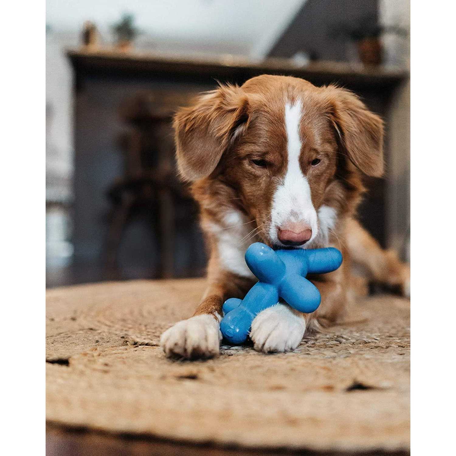 Charming Pet Latex Balloon Dog Toy - Pet Supplies online store