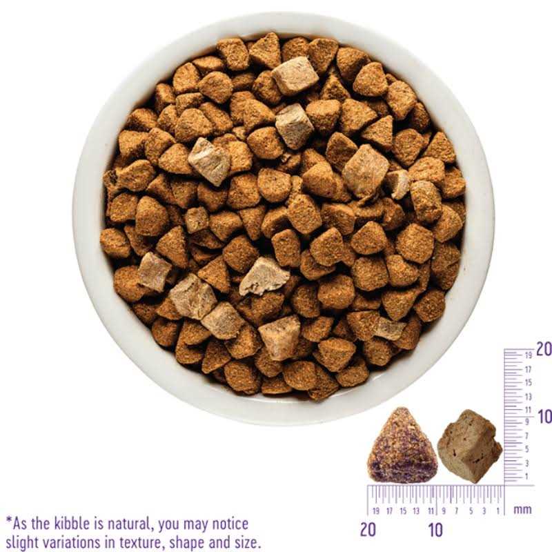 Wellness Core RawRev Natural Grain Free Wild Game Freeze Dried Dry Dog Food - Pet Supplies online store