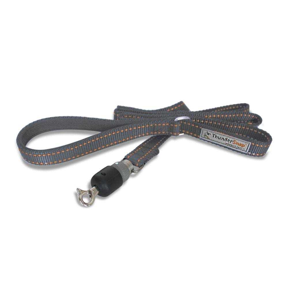 ThunderSnap Quick-Connect Dog Leash - Pet Supplies online store