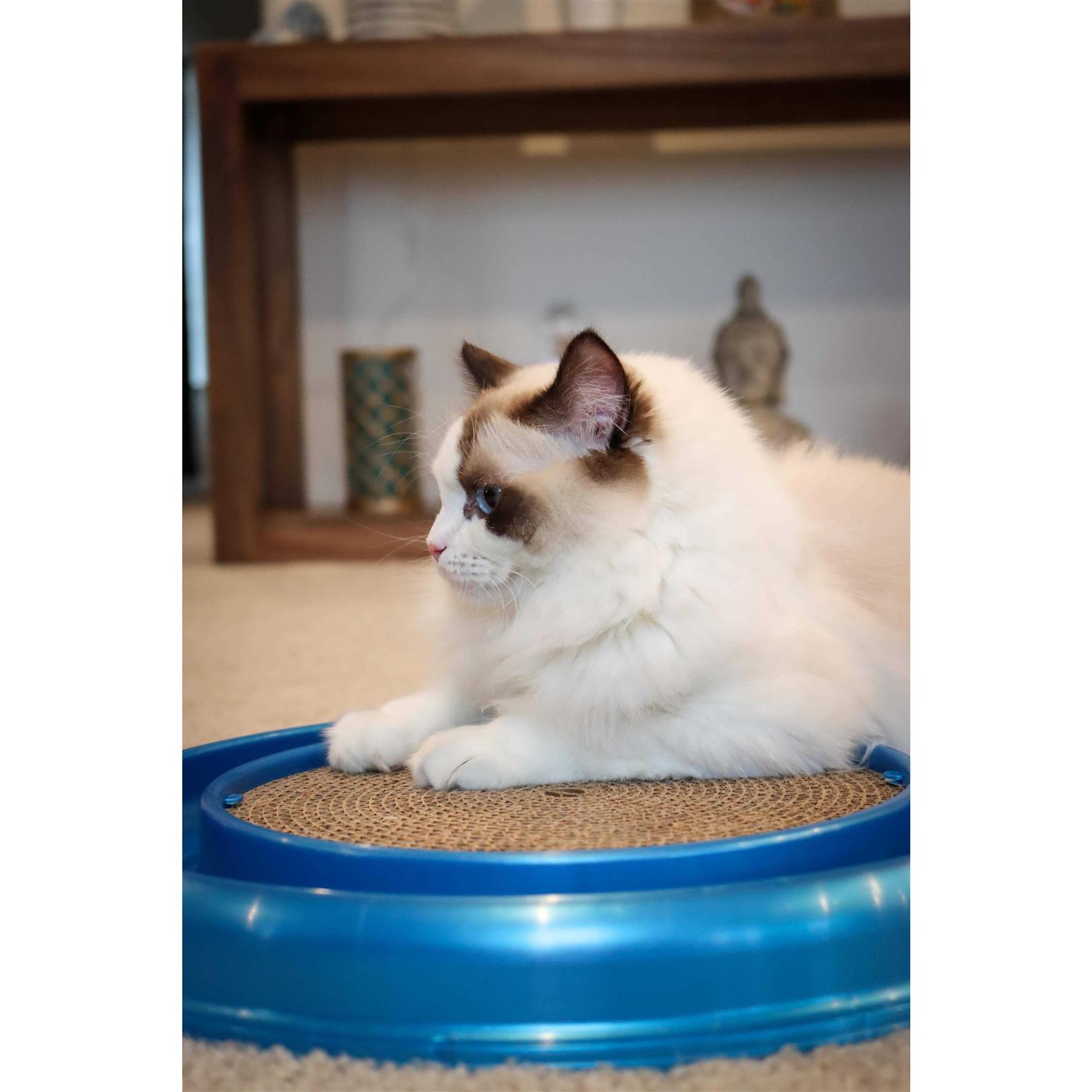 Morovilla Turbo Interactive Scratcher Cat Toy Colors May Vary - Pet Supplies online store