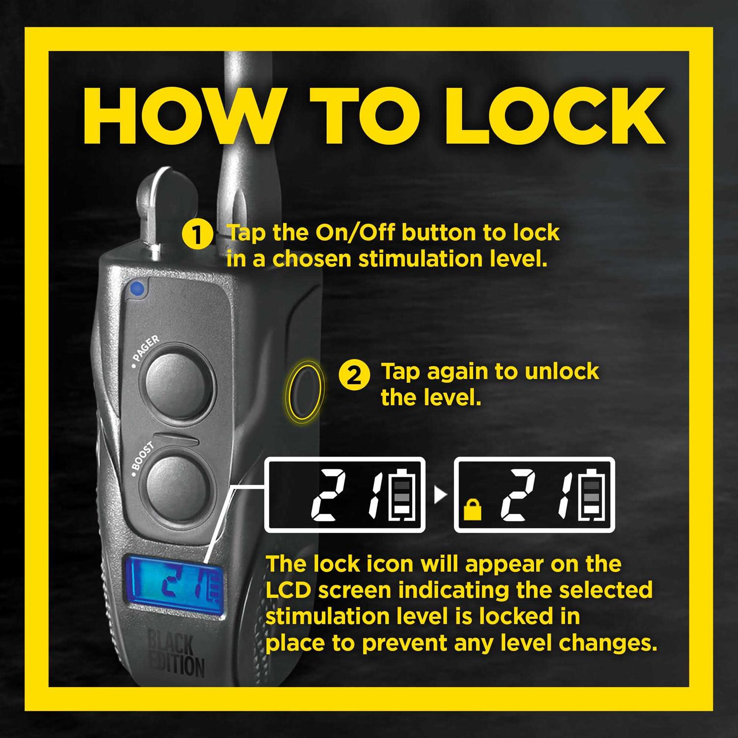 Dogtra 1900S Wetlands Boost & Lock Remote Dog Training E-Collar - Pet Supplies online store