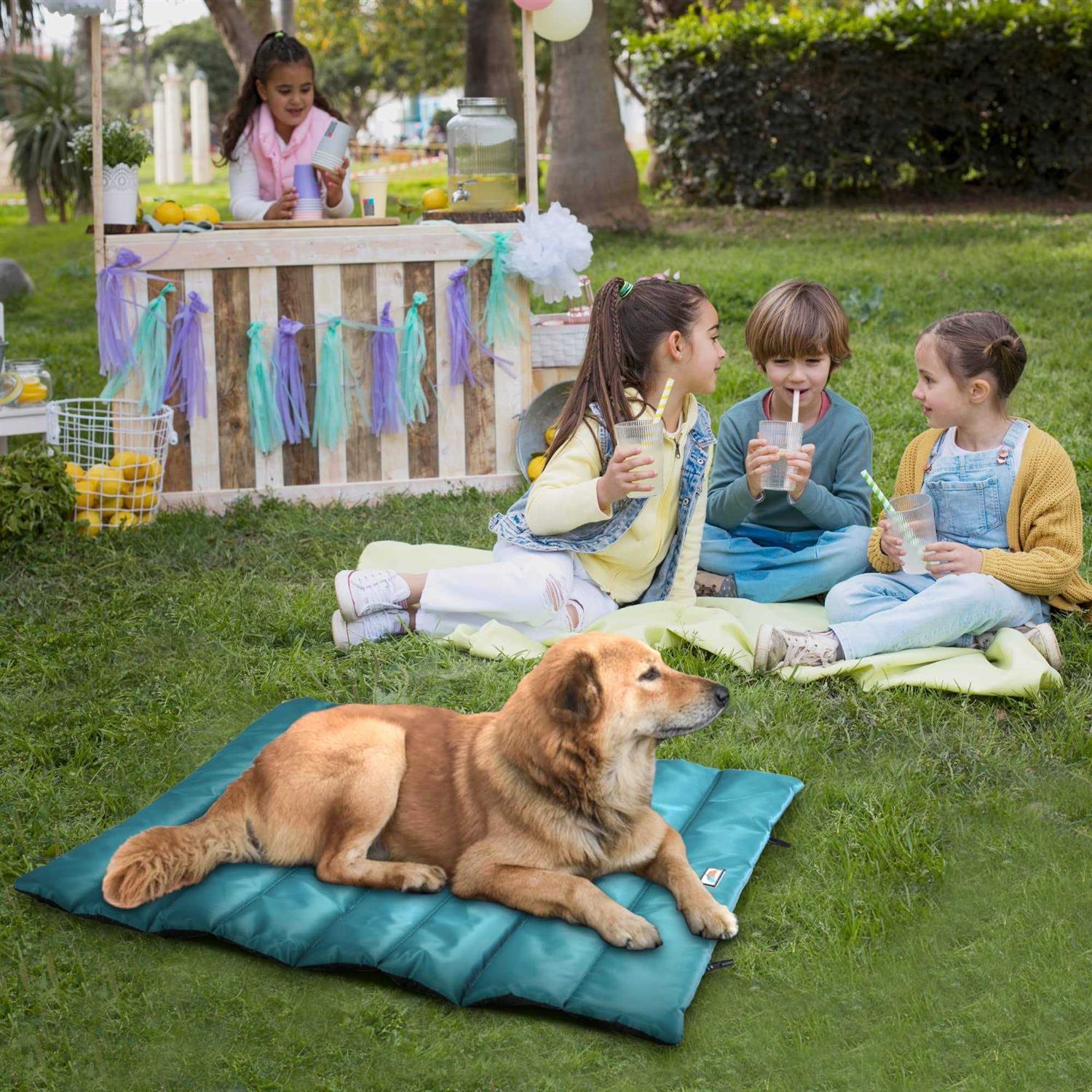 Go Gear by Max & Marlow Portable Waterproof Roll Up Dog Mat Bed - Pet Supplies online store