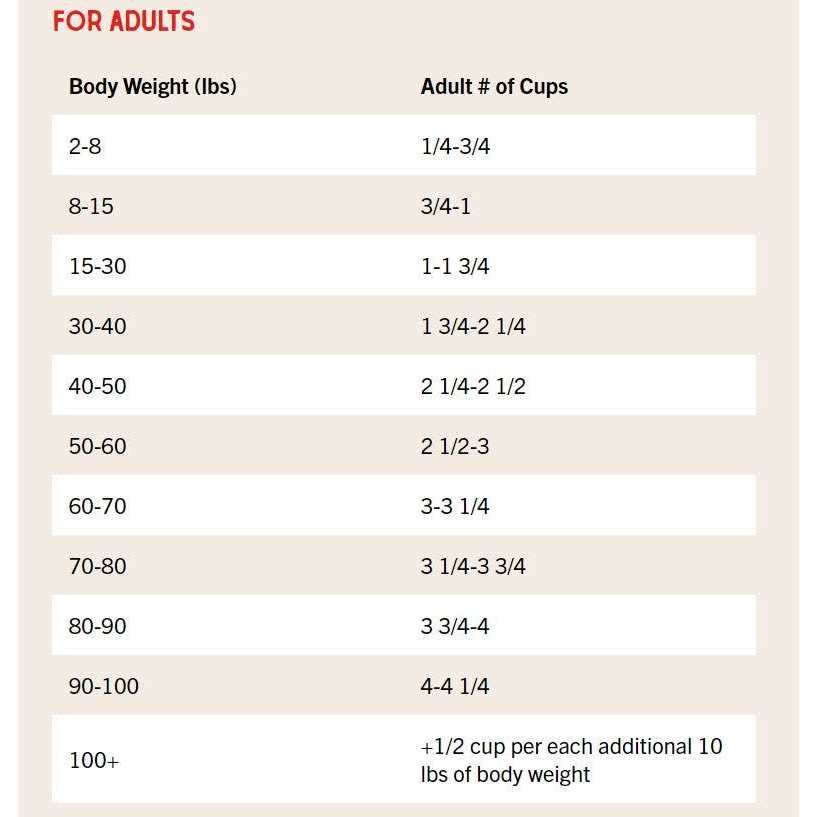 Stella & Chewy's Raw Coated Kibble Recipe with Wholesome Grains Dog - Pet Supplies online store