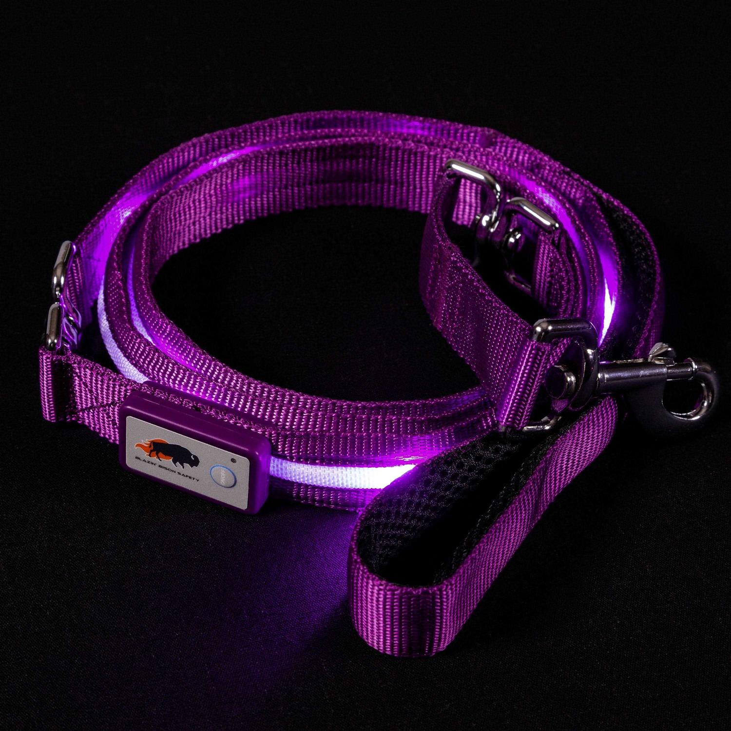 Blazin Safety LED Dog Leash USB Rechargeable Flashing Light - Pet Supplies online store