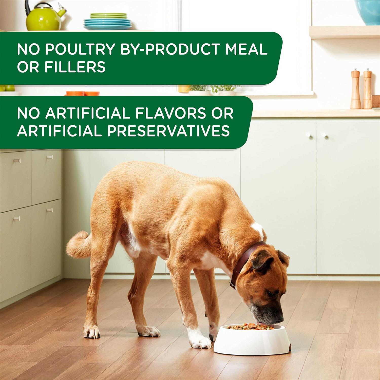 Rachael Ray Nutrish Wet Dog Food Chicken & Apple - Pet Supplies online store