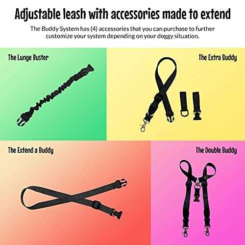 The Buddy System Adjustable Hands Free Dog Leash, Hand-Free Leash for Running, Jogging, Walking, Hiking and Training Service - Pet Supplies online store