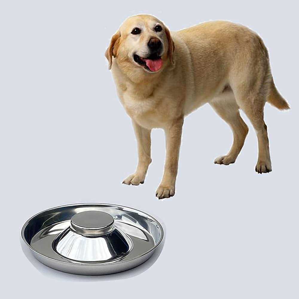 ballmount 2 Puppy Bowl Puppy Feeding Bowls for Small Dogs whelping Box Water Weaning Bowls - Pet Supplies online store
