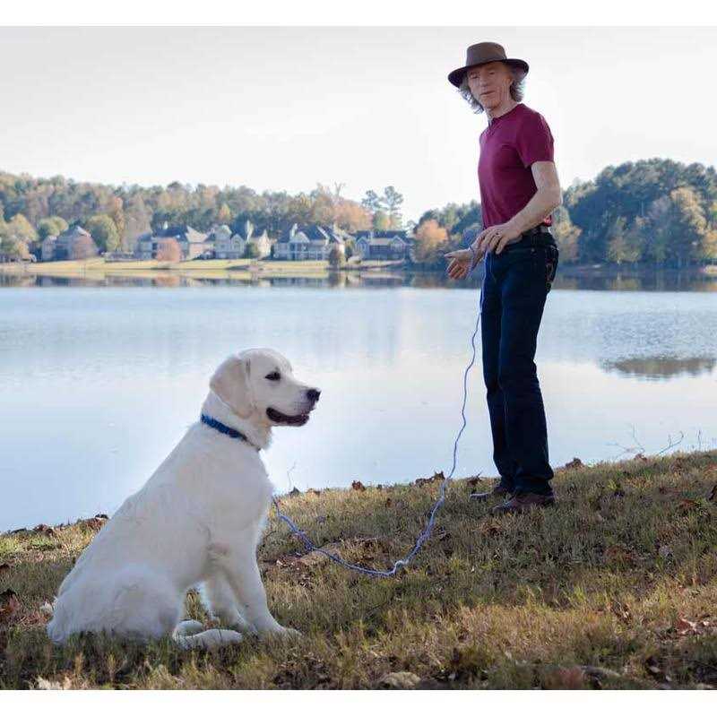 The Perfect Dog Don Sullivan's Secrets to Training System with DVD Set and command collar - Pet Supplies online store