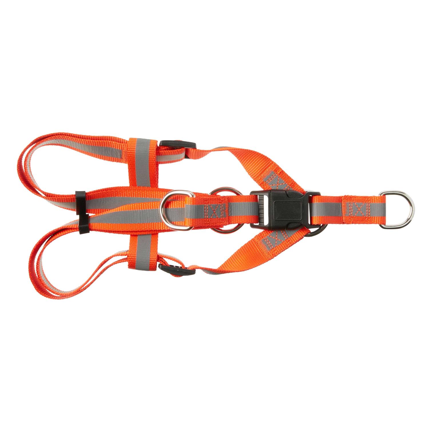 Vibrant Life Step-In Dog Harness - Pet Supplies online store