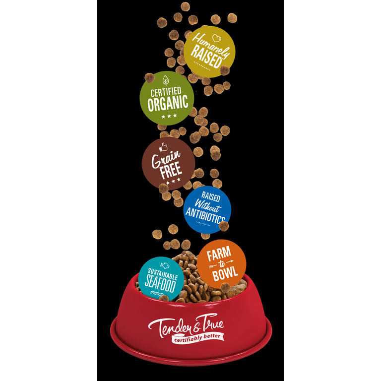 Tender & True Salmon & Sweet Potato Recipe Dry Cat Food - Pet Supplies online store