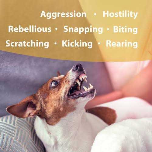 Botanical Animal Devil Be Gone Flower Essences - Pet Supplies online store