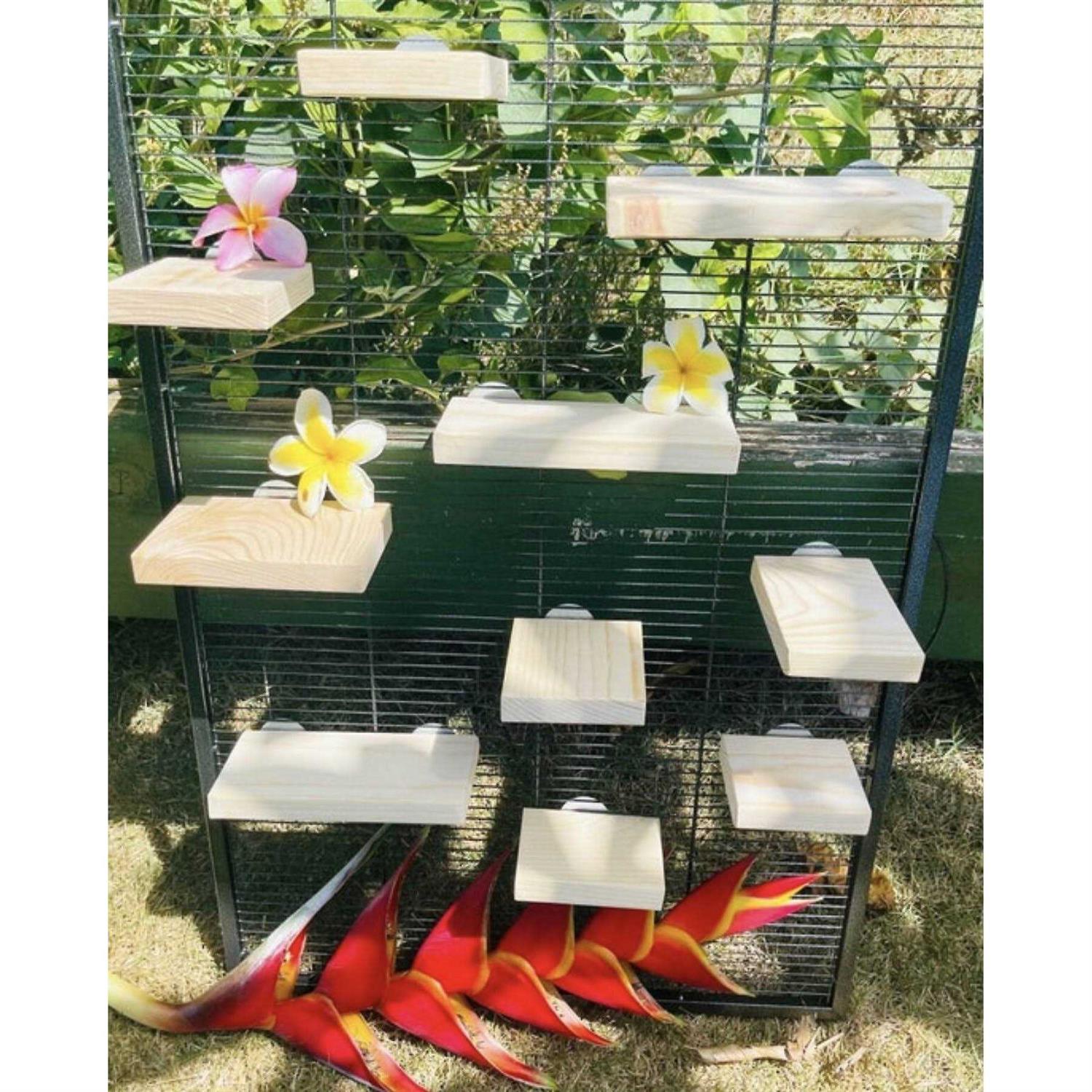 CrazyCritterThings Kiln Dried Pine Leaping Ledges Small Pet Habitat Accessory - Pet Supplies online store