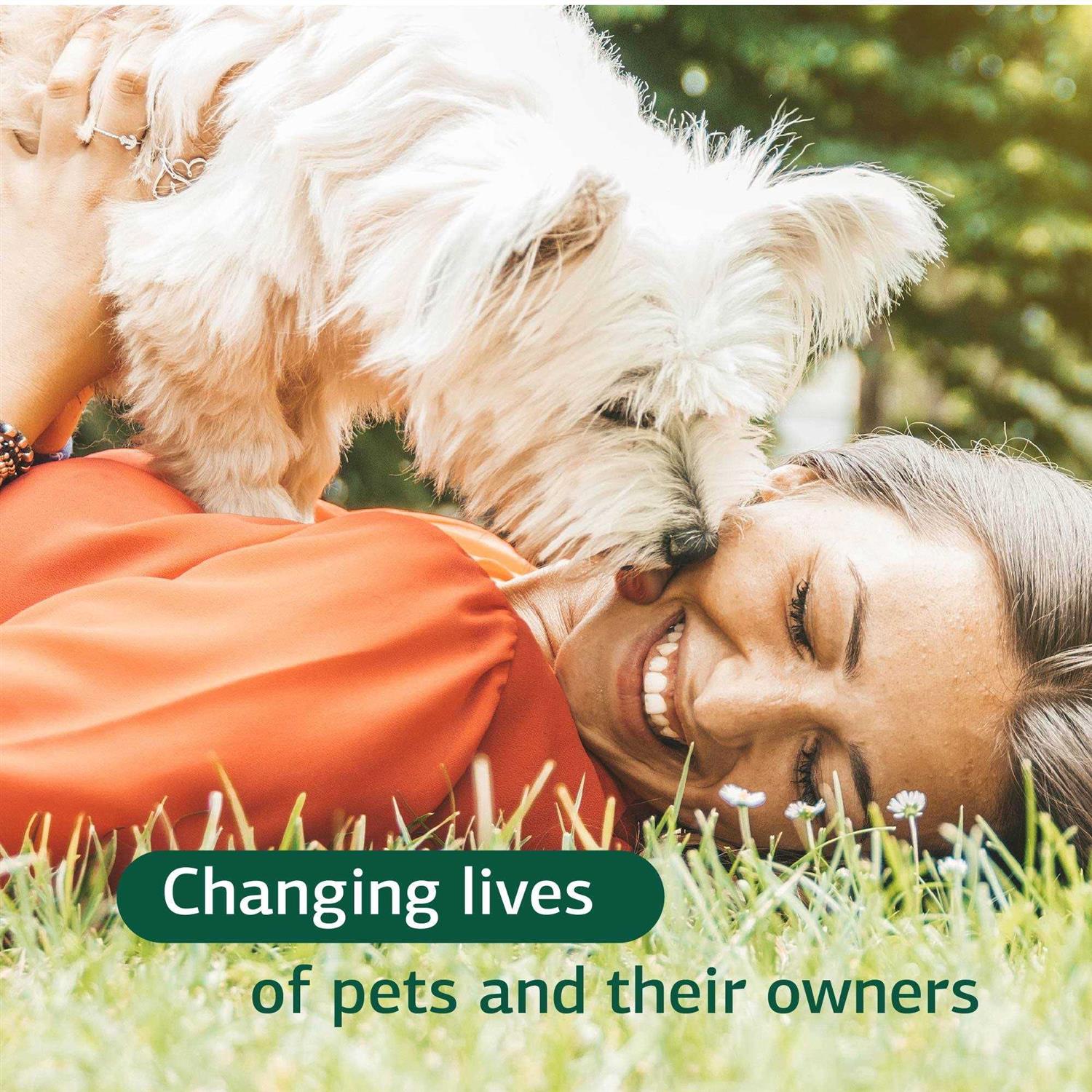 Canine Dermal Support Standard Process - Pet Supplies online store